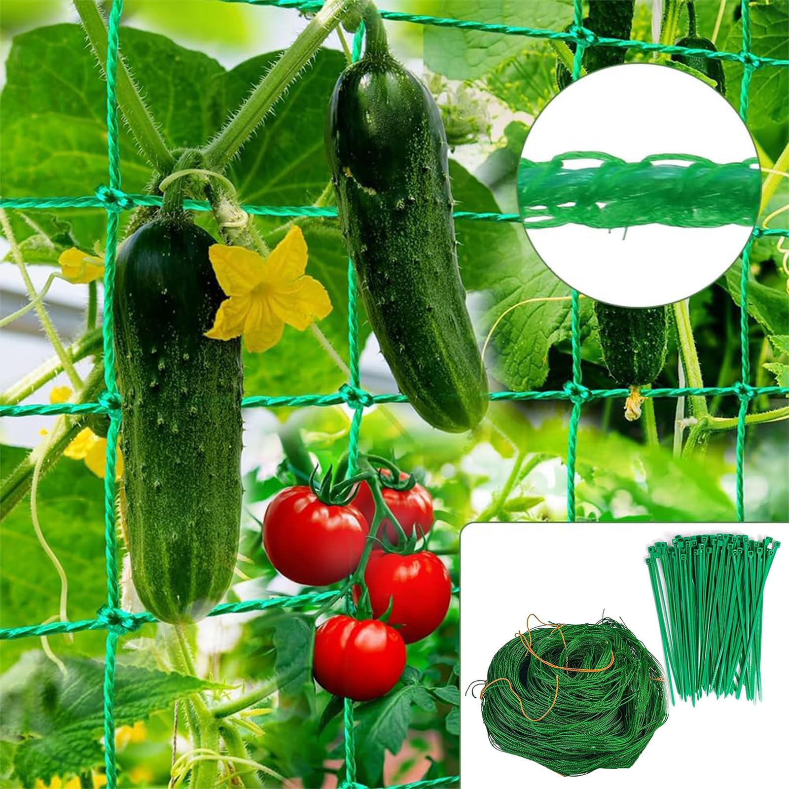Rete per Piante Rampicanti 2 x 5 m con 25 Clip per Serra, 50 Attacchi per Cetrioli, Pomodori