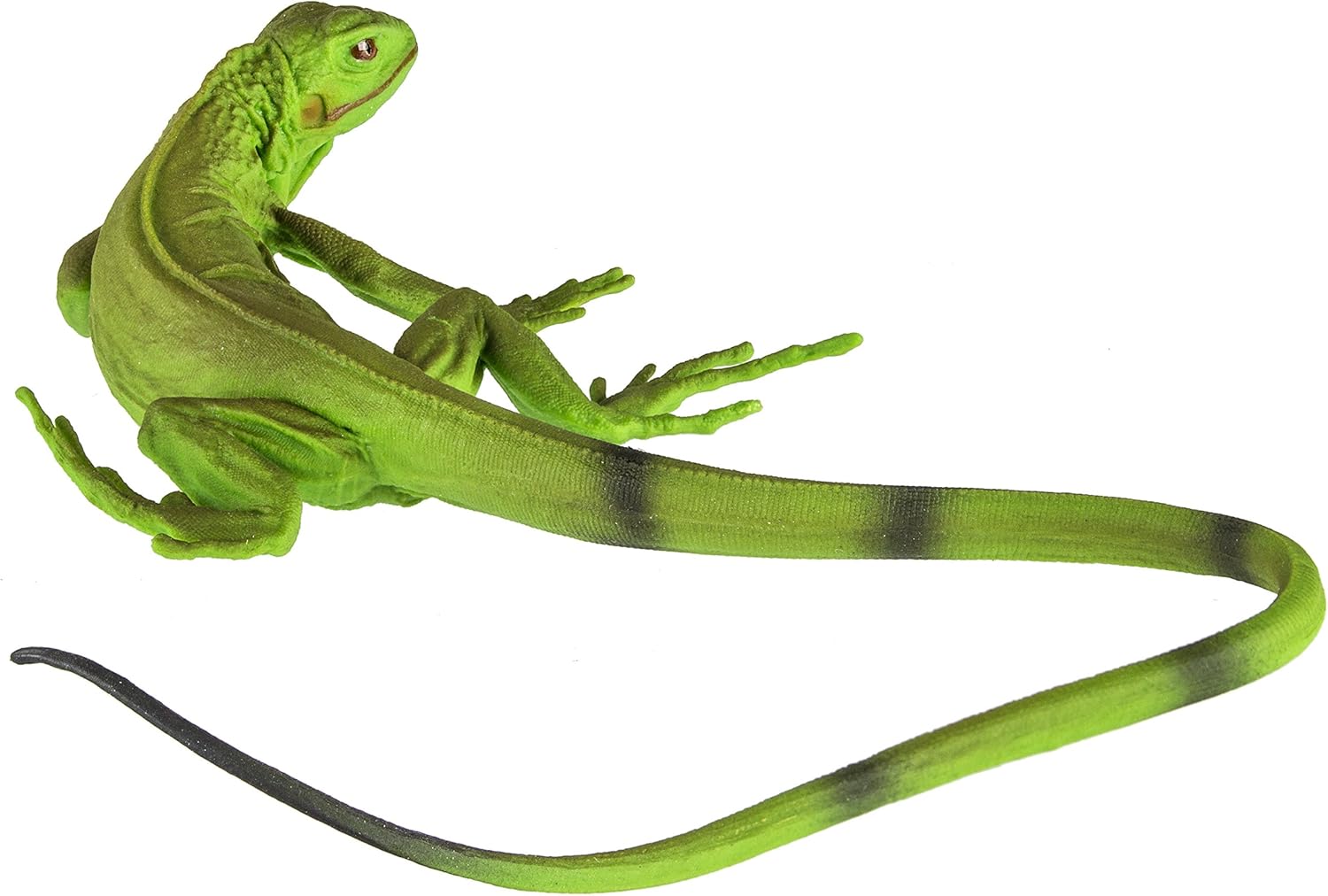 remote dog toy with camera