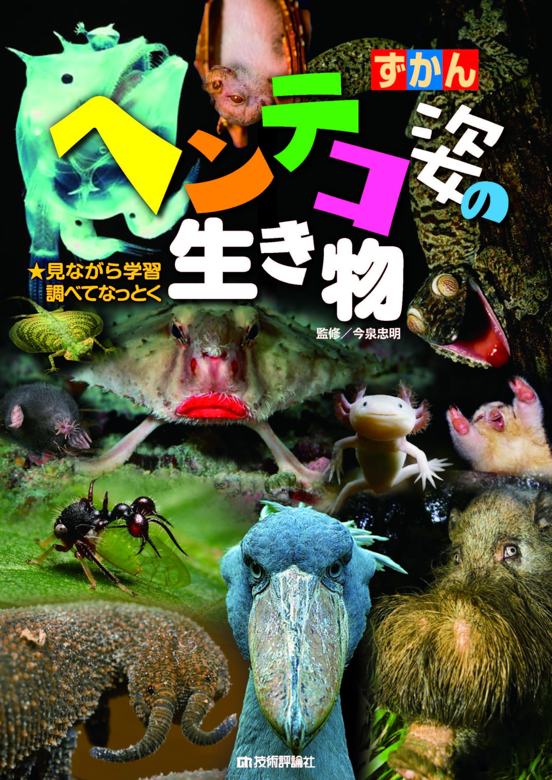 ヘンテコ姿の生き物 (ずかん) | 今泉 忠明 |本 | 通販 | Amazon