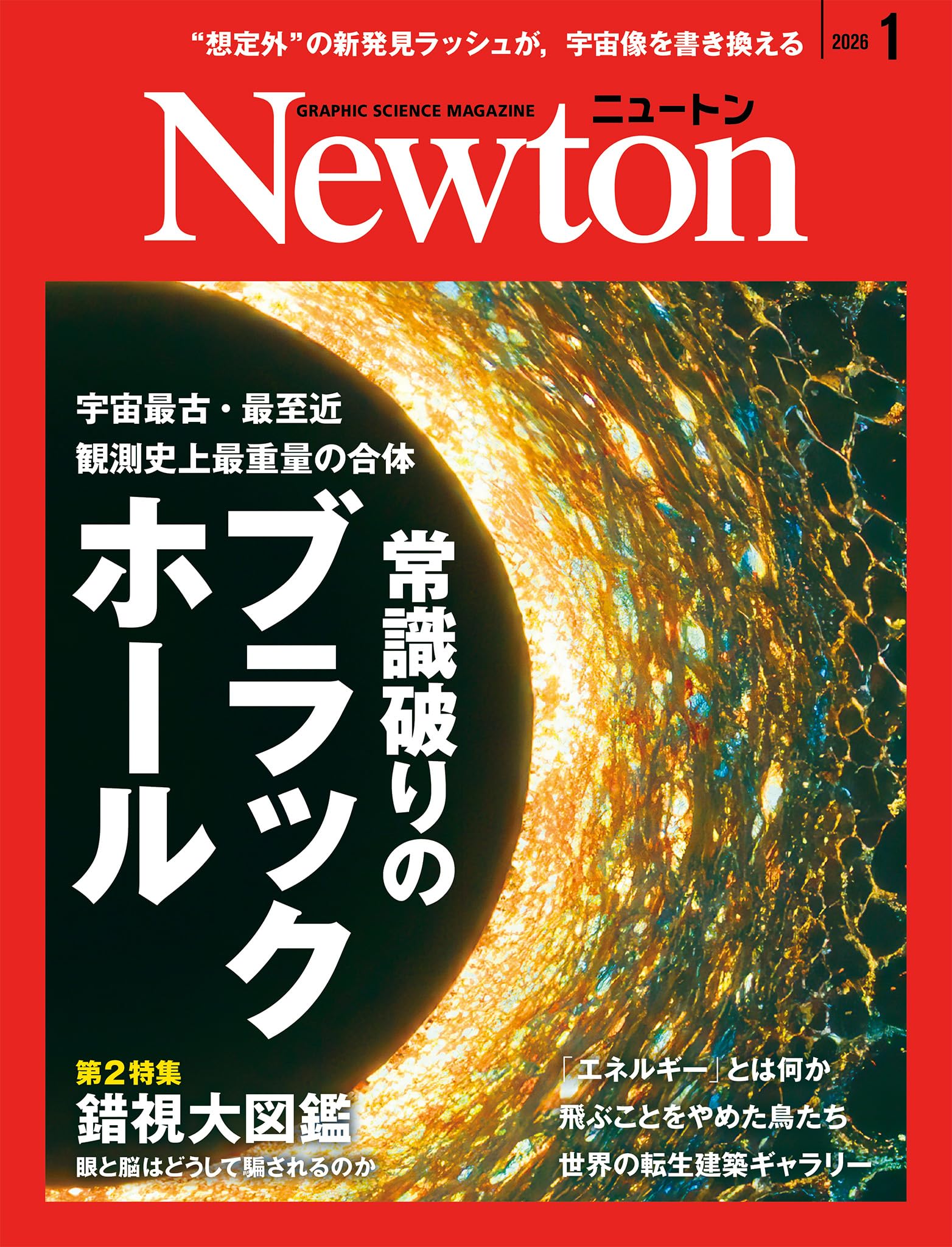 Amazon.co.jp: Newton(ニュートン) 2026年1月号 [雑誌] : ニュートン