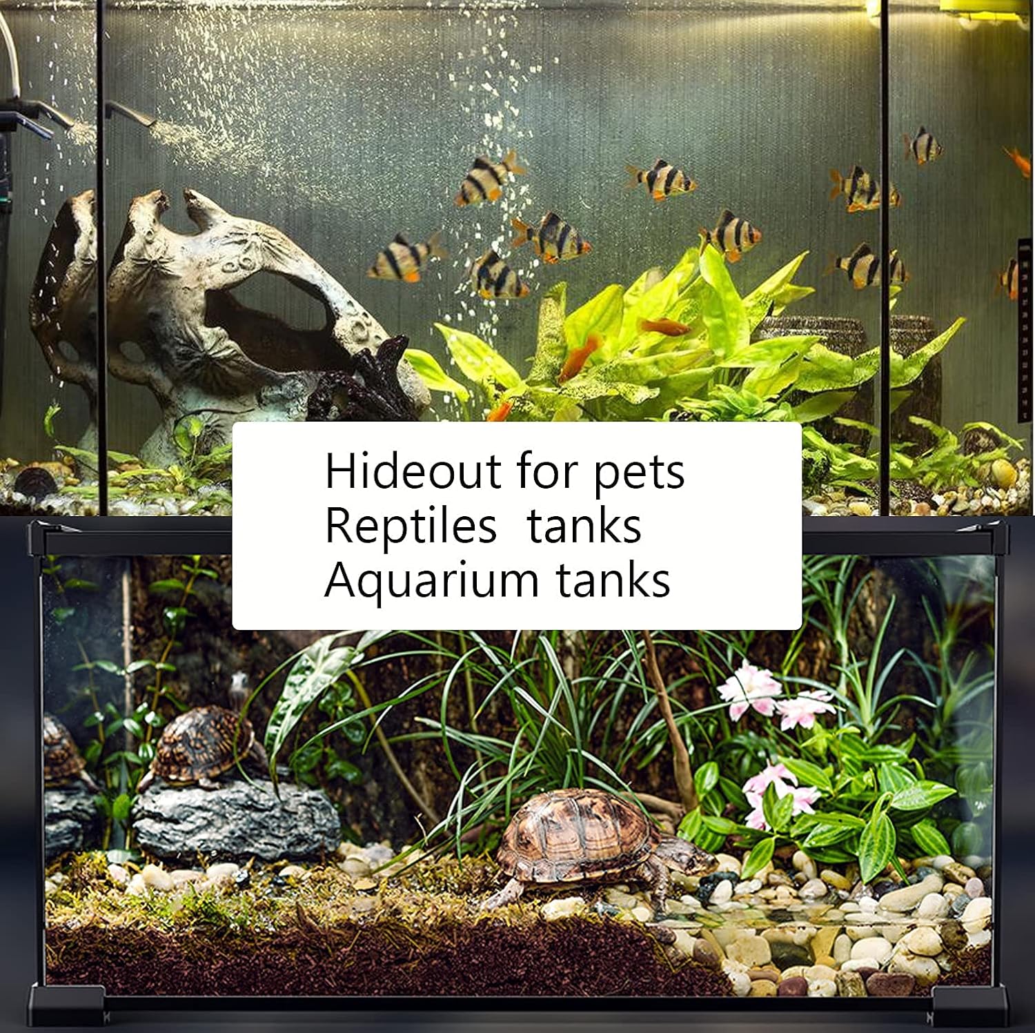 turtle accessories for tanks