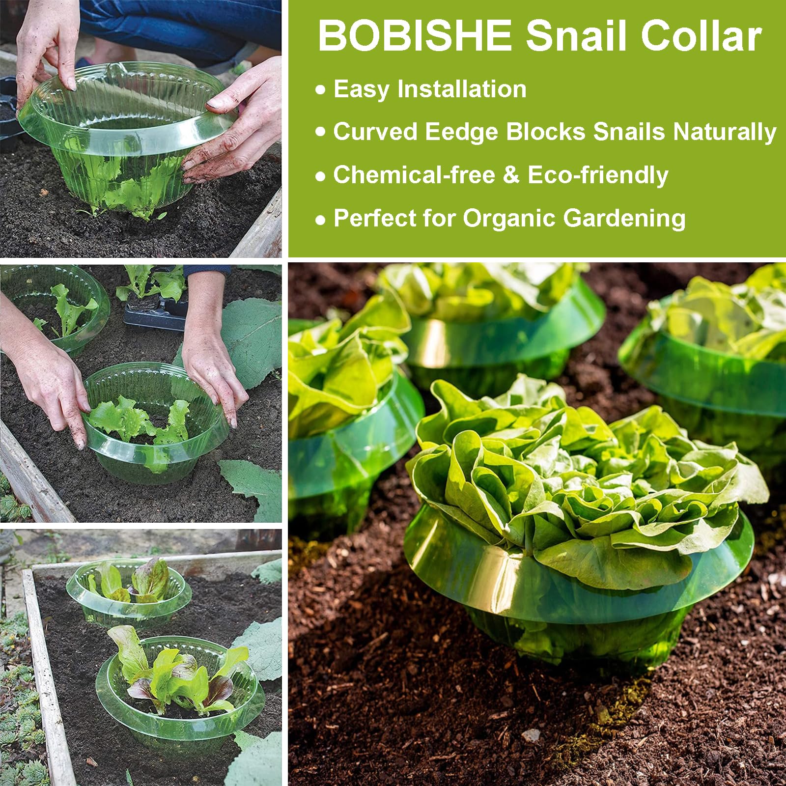 10 Pezzi Collari Anti-Lumache per Orto con Bordo 45° - Anelli Protezione Piante da Insalata, Pomodori e Cavoli, Materiale Resistente UV/Antipioggia, Senza Chimici e Riutilizzabile, Ø24cm