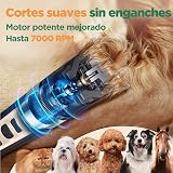 Ver la foto 5