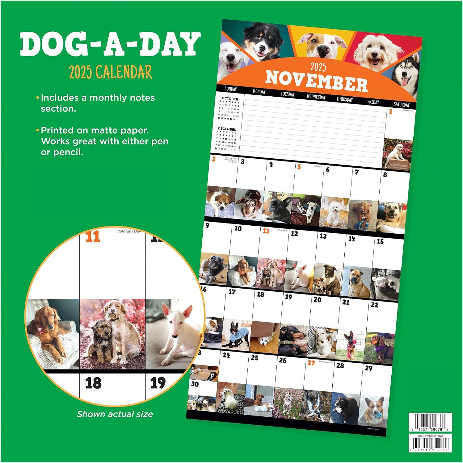 TF PUBLISHING 2025 Dog-A-Day Wall Calendar - Large Grids for Appointments and Scheduling - Vertical Monthly Wall Calendar 2025 - Home & Office Organization - Premium Gloss Paper - 12"x12" image 3
