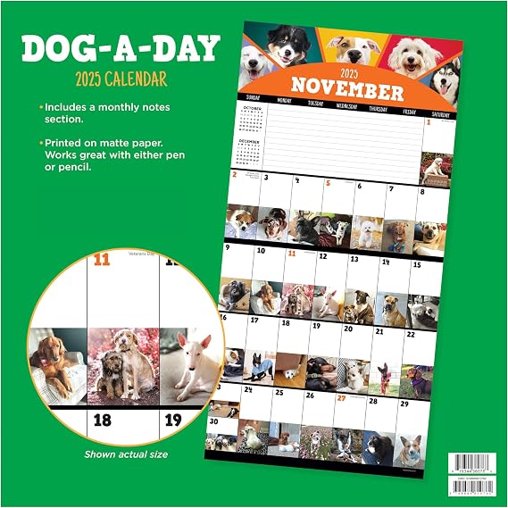 TF PUBLISHING 2025 Dog-A-Day Wall Calendar - Large Grids for Appointments and Scheduling - Vertical Monthly Wall Calendar 2025 - Home & Office Organization - Premium Gloss Paper - 12x12
