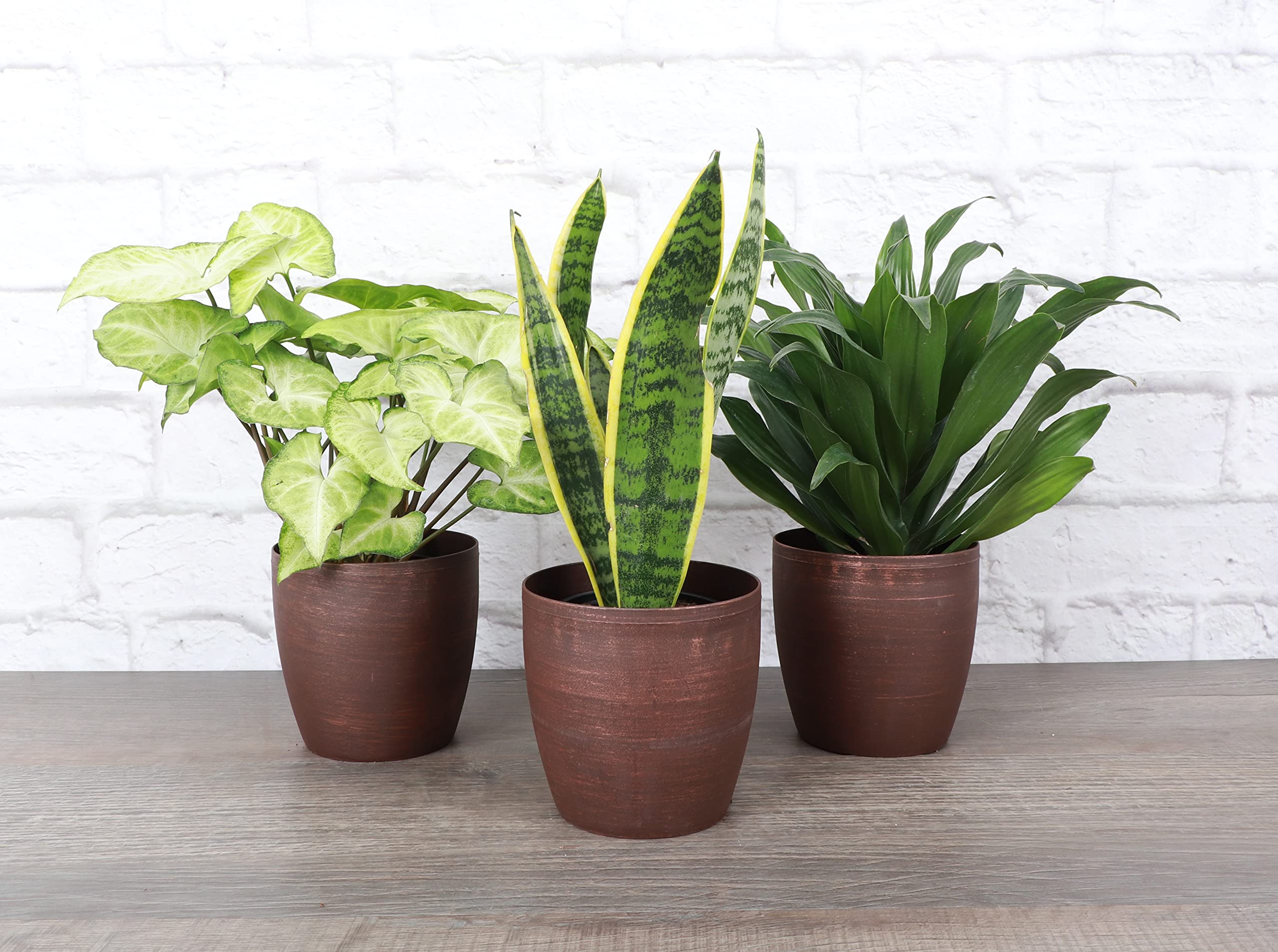 indoor self watering planter Franklin 17 Ceramic Self Watering Pot by Greenery Unlimited Canary