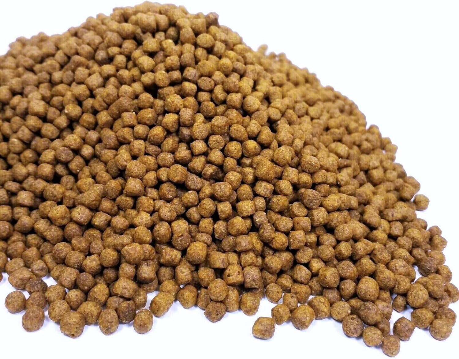 Aquatic Turtle Diet, 5/32" Round Floating Pellets for Freshwater Turtles, Painted, Pond, Red-Eared, Baby Box, Slider Turtles and More.…1-lb & 8oz Med Jar