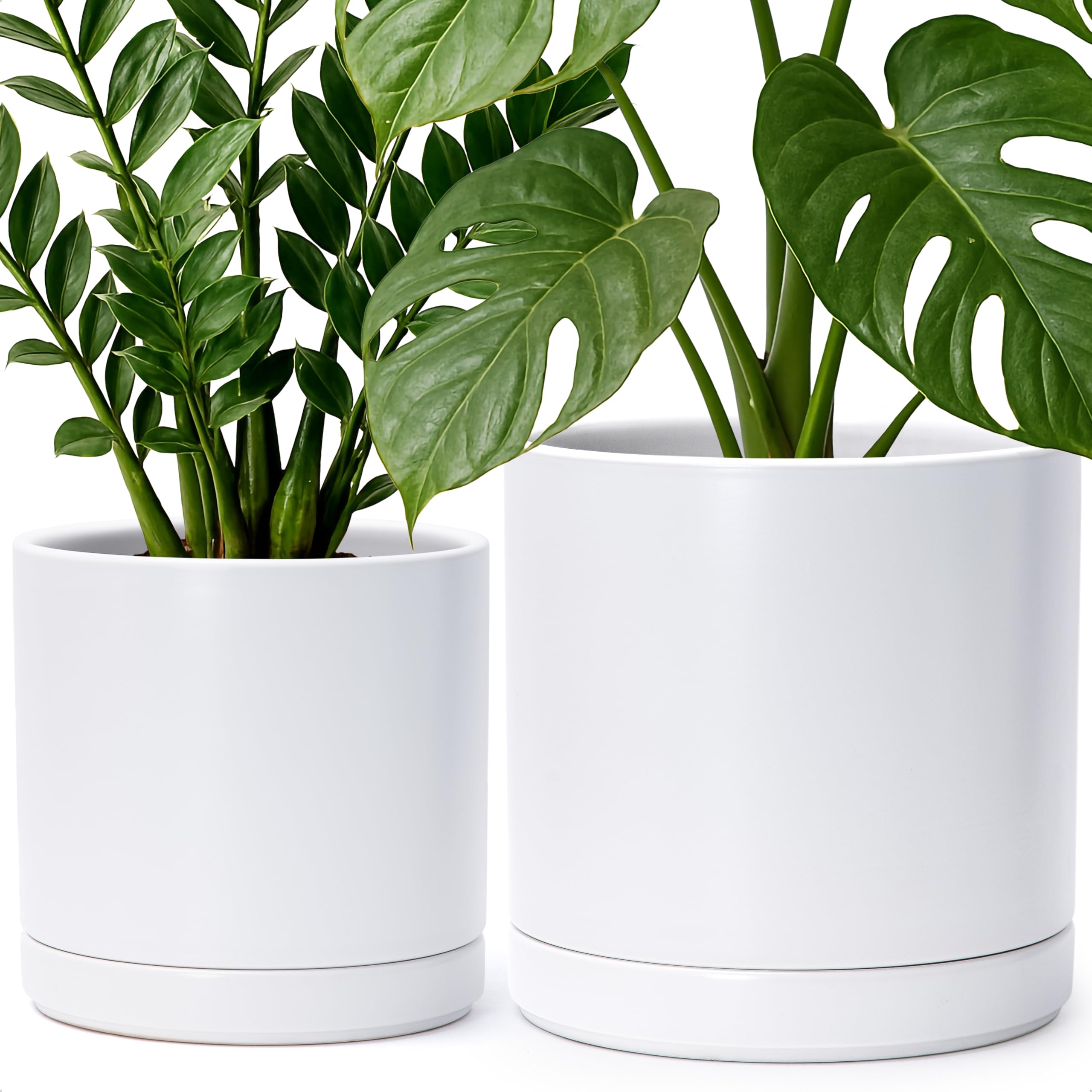 Amazon.com : D'vine Dev 8.2 Inch & 10 Inch Ceramic Planter Pot for