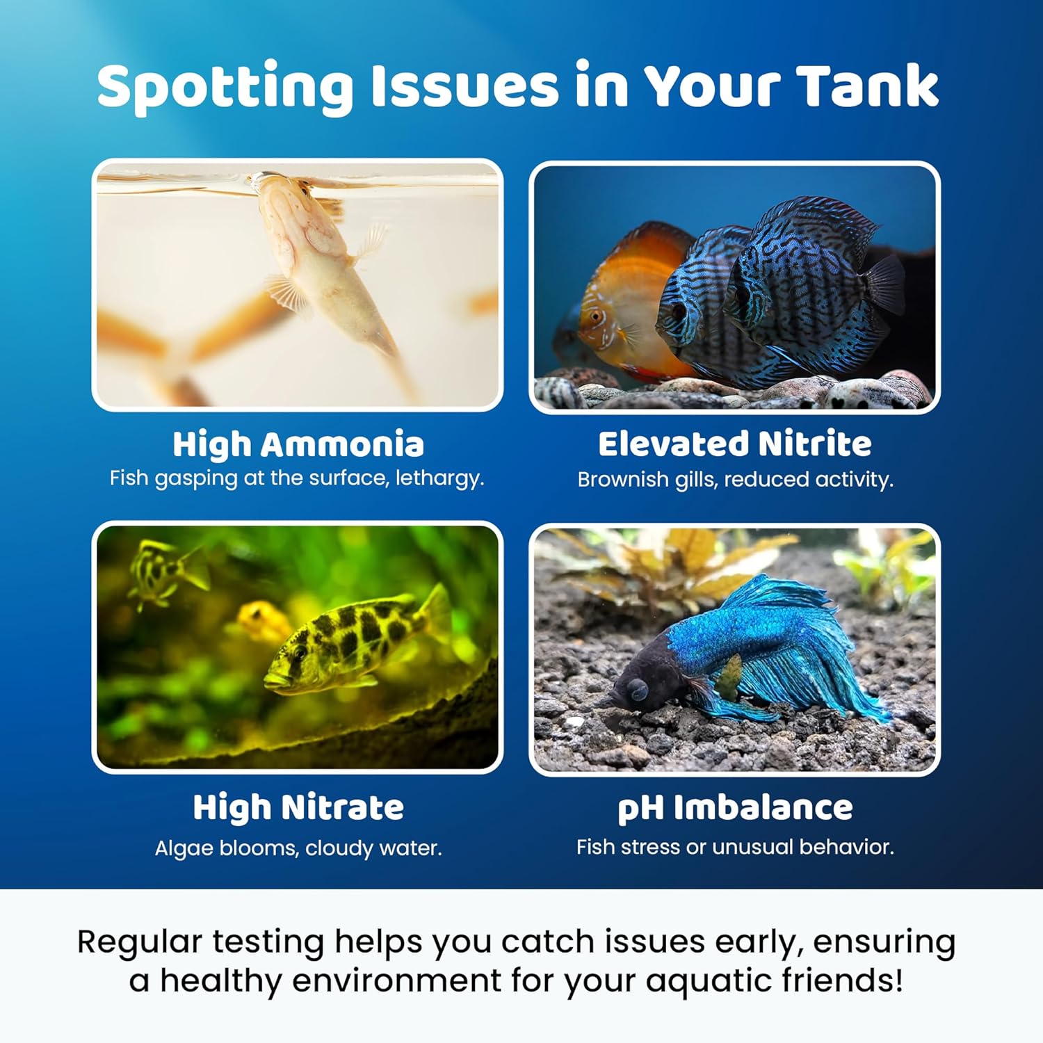 Freshwater Aquarium Master Test Kit – 950+ Tests for pH, Ammonia, Nitrite & Nitrate – Fast & Accurate Water Quality Testing – Ideal for Fish Tanks, Aquariums – Easy-to-Use Complete Kit