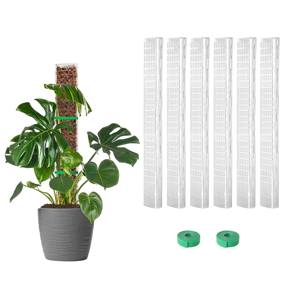 Amazon.com : EOX 6 Pcs 24 Inch Plastic Moss Pole for