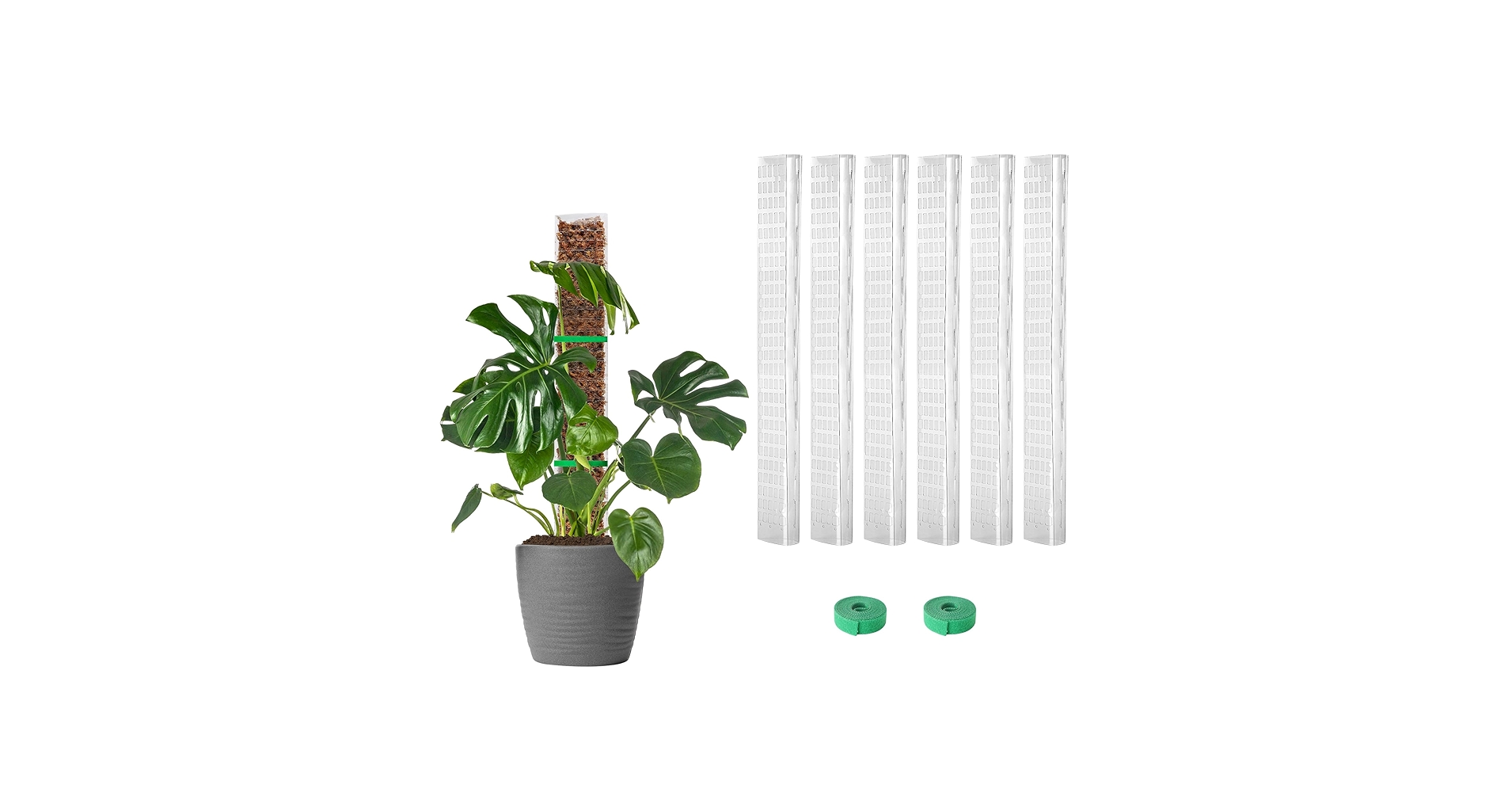 Amazon.com : EOX 6 Pcs 24 Inch Plastic Moss Pole for