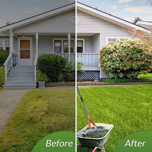 Miniatura 7 de Walensee Rastrillo Dethatcher, Rastrillo Dethatcher para Césped de 15 pulgadas, Rastrillo Dethatcher Robusto, Rastrillo de Metal de Acero Eficiente