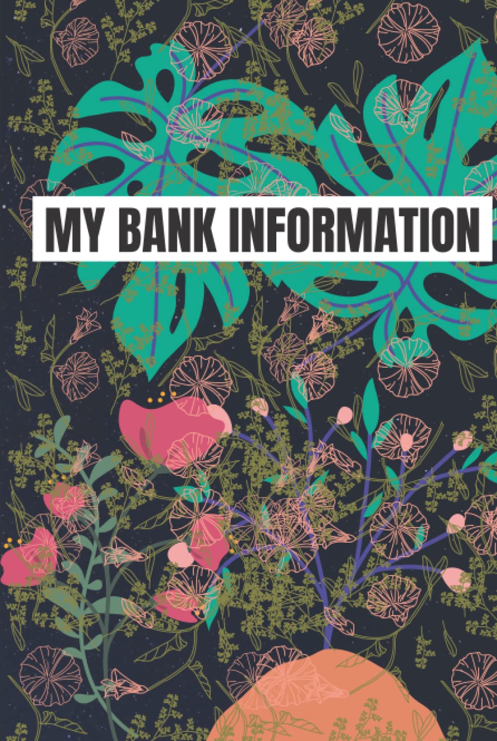 My Bank Information: Account information, Account information's for my account, bank book, Bank transaction recorder.