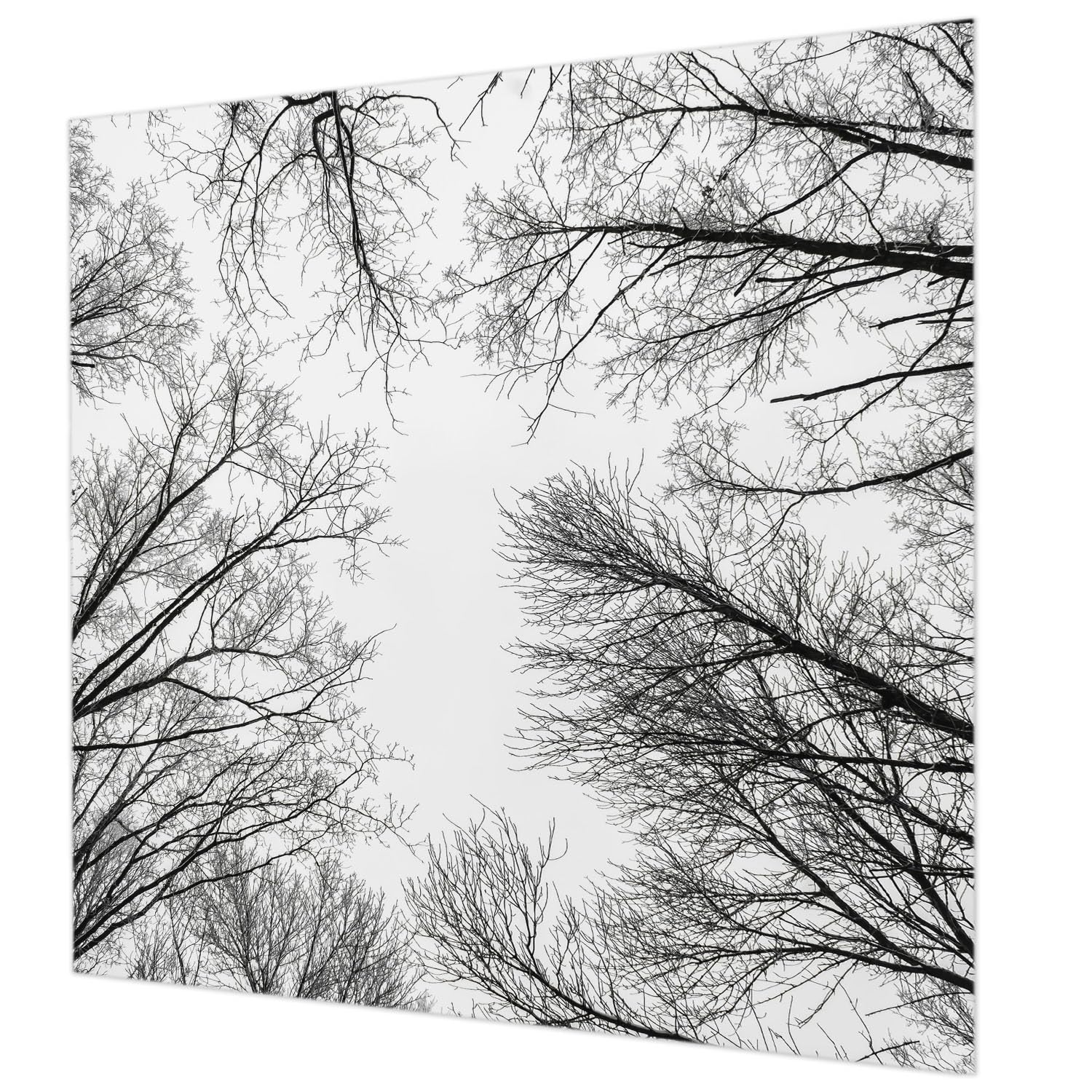 Revêtement mural intissé branches nues idéal chambre et salon moderne