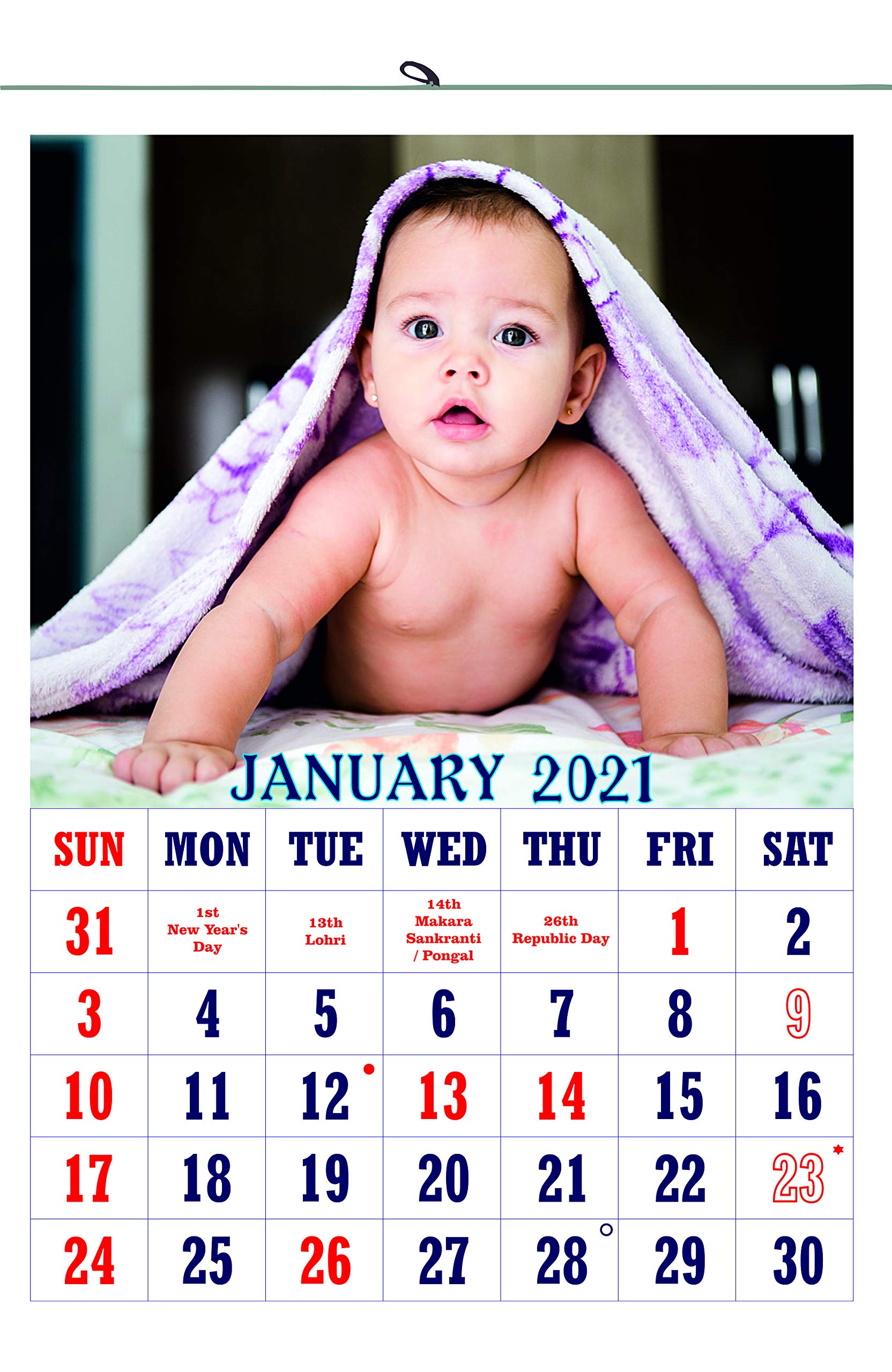 BABYL 2021年カレンダーポスター Vivid Print V851 Baby Calendar 13x19