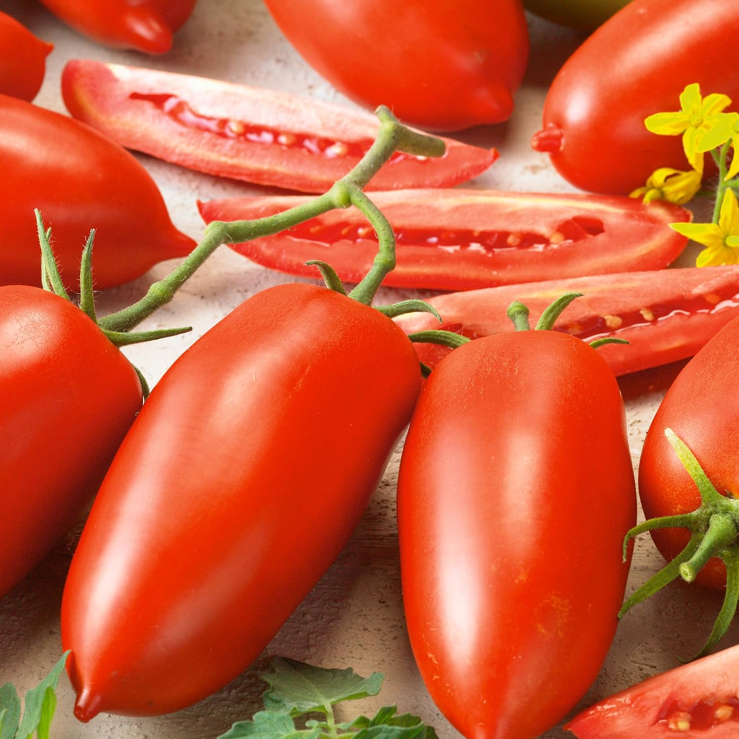Super Italian Paste Tomato Seeds - 1 Oz ~6800 Seeds - Non-GMO, Heirloom - Vegetable Garden - Solanum lycopersicum