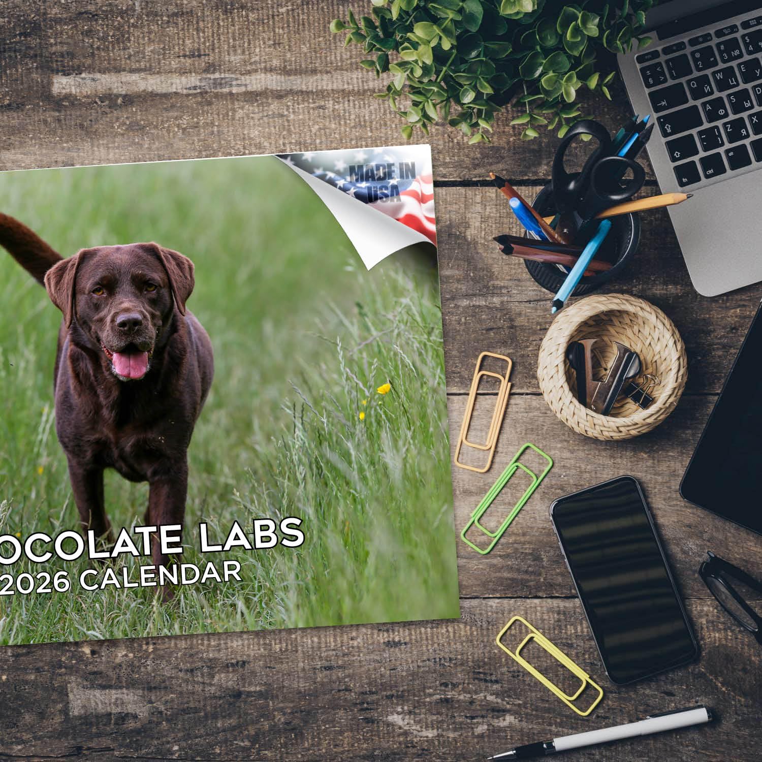 Calendario 2024 2025 de chocolate labrador – Calendario mensual de pared de raza de perro – 12 x 18 pulgadas abierto – Papel grueso que no se corre – Regalo – Calendario académico para profesores