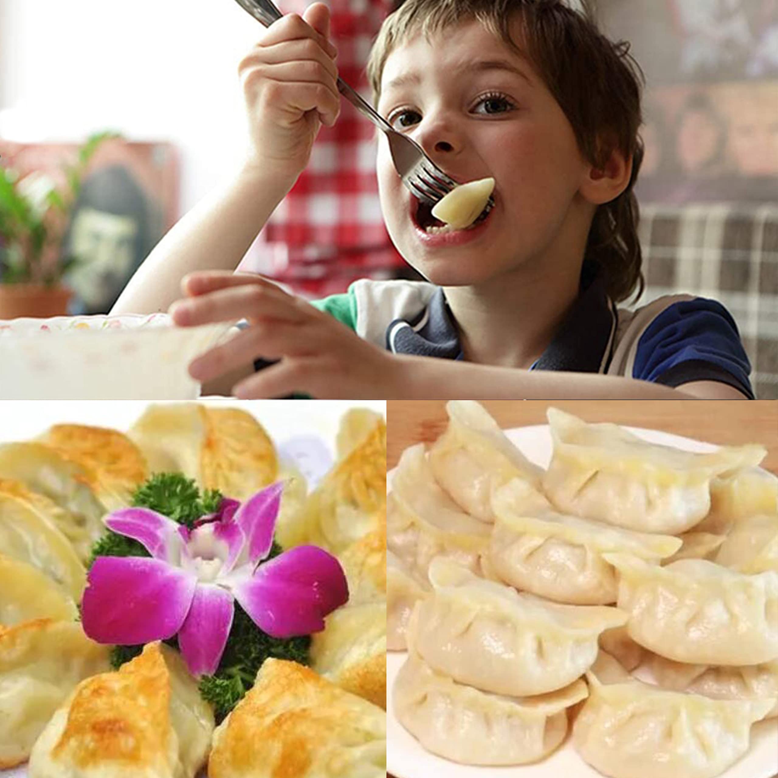 Pelmeni Maker Per Fare Gnocchi Stampo Per Ravioli E Dumpling 2 In 1 – , Gyoza, Ravioli Fatti In Casa (Blu) Chiudi Ravioli Cinesi