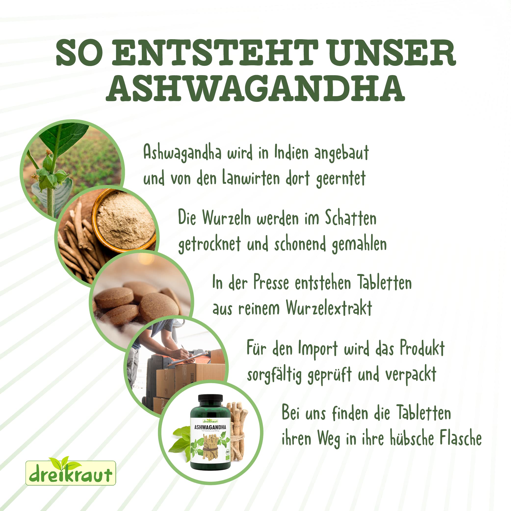 Bio-Ashwaganda von dreikraut, 100% reines Wurzelpulver, 2000 mg Tagesdosis, 700 Presslinge Tabletten, Vorrat für 175 Tage, frei von Zusätzen (Packung mit 2)