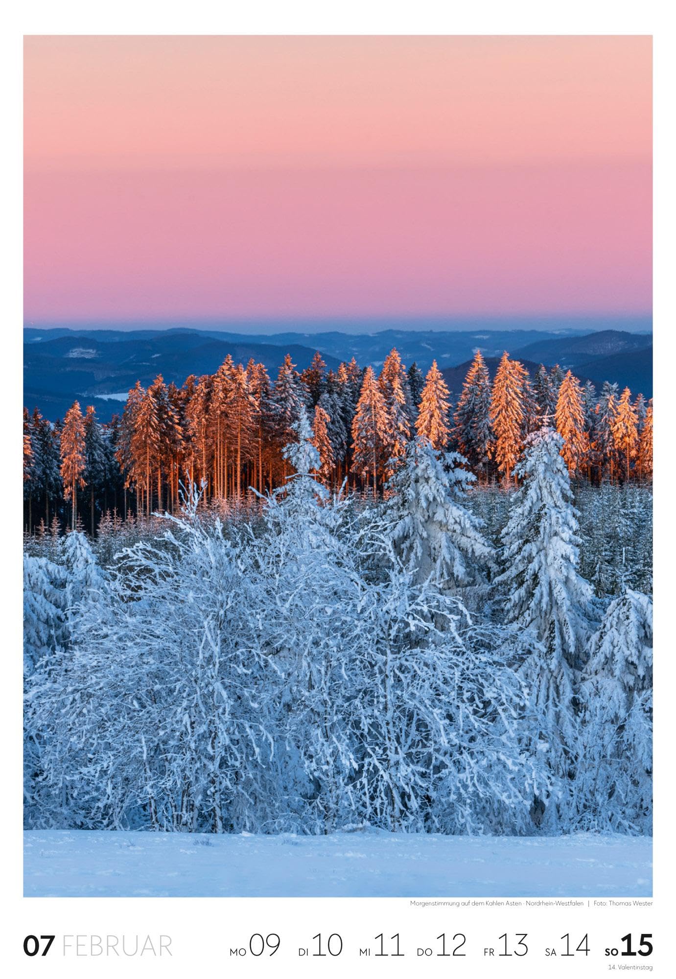 Natur Wochenkalender 2026 | Natur-Kalender mit 53 großformatigen Bildern im Hochformat (29x42 cm) | Heimische Flora und Fauna