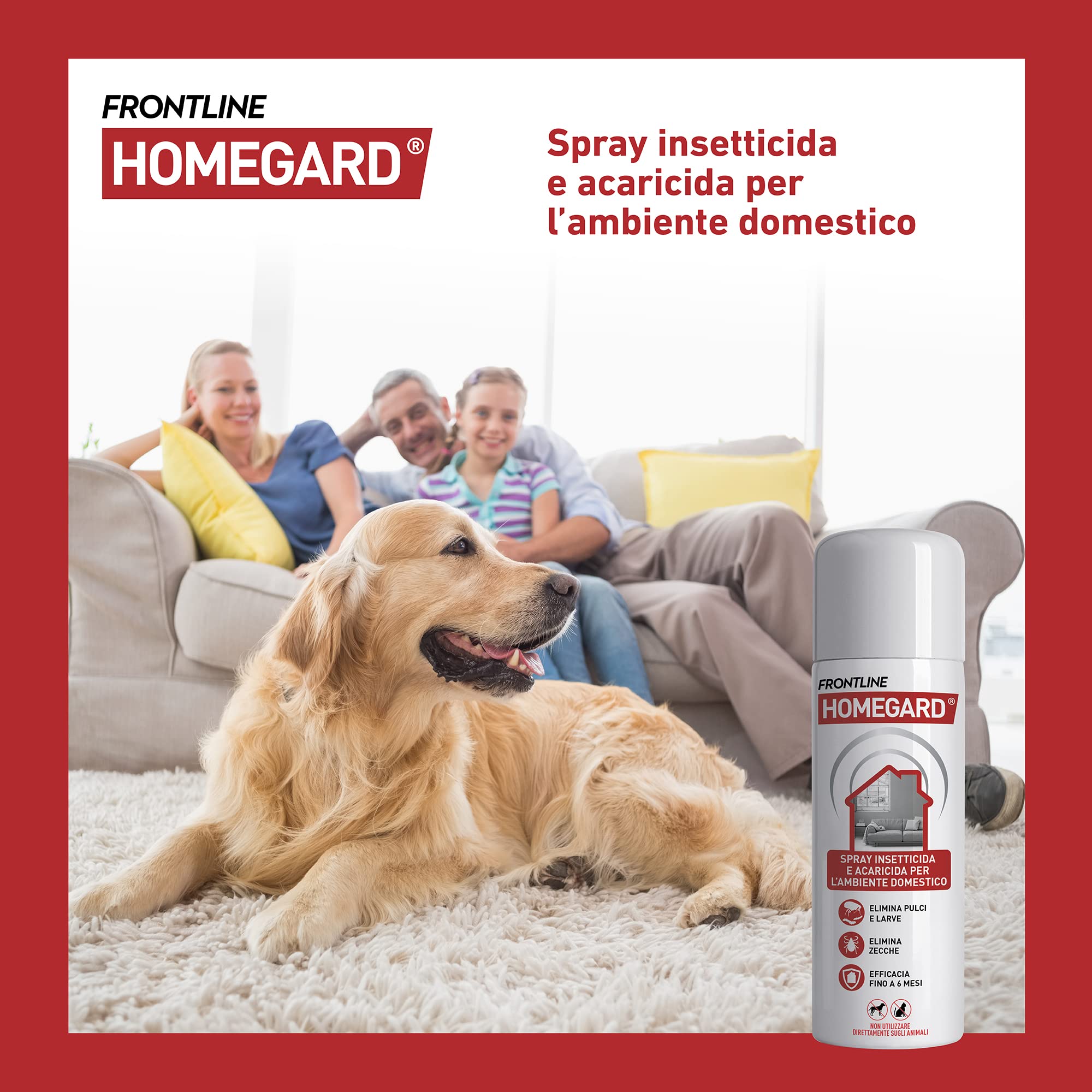 Frontline Homegard Spray Insetticida, Antipulci per Ambienti ad Azione Rapida, Protegge Mobili e Tessili di Casa, Elimina Pulci, Zecche, Uova e Larve fino a 6 mesi, Formato 250 ml (Confezione da 2)