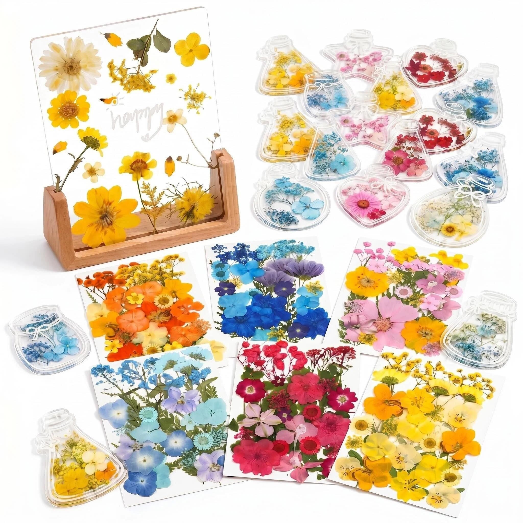 Kit de loisirs créatifs de fleurs séchées pressées, 180 feuilles de fleurs séchées à faire soi-même avec cadre en bois acrylique de 15,2 x 20,3 cm, 20 marque-pages pour art en résine, fabrication de