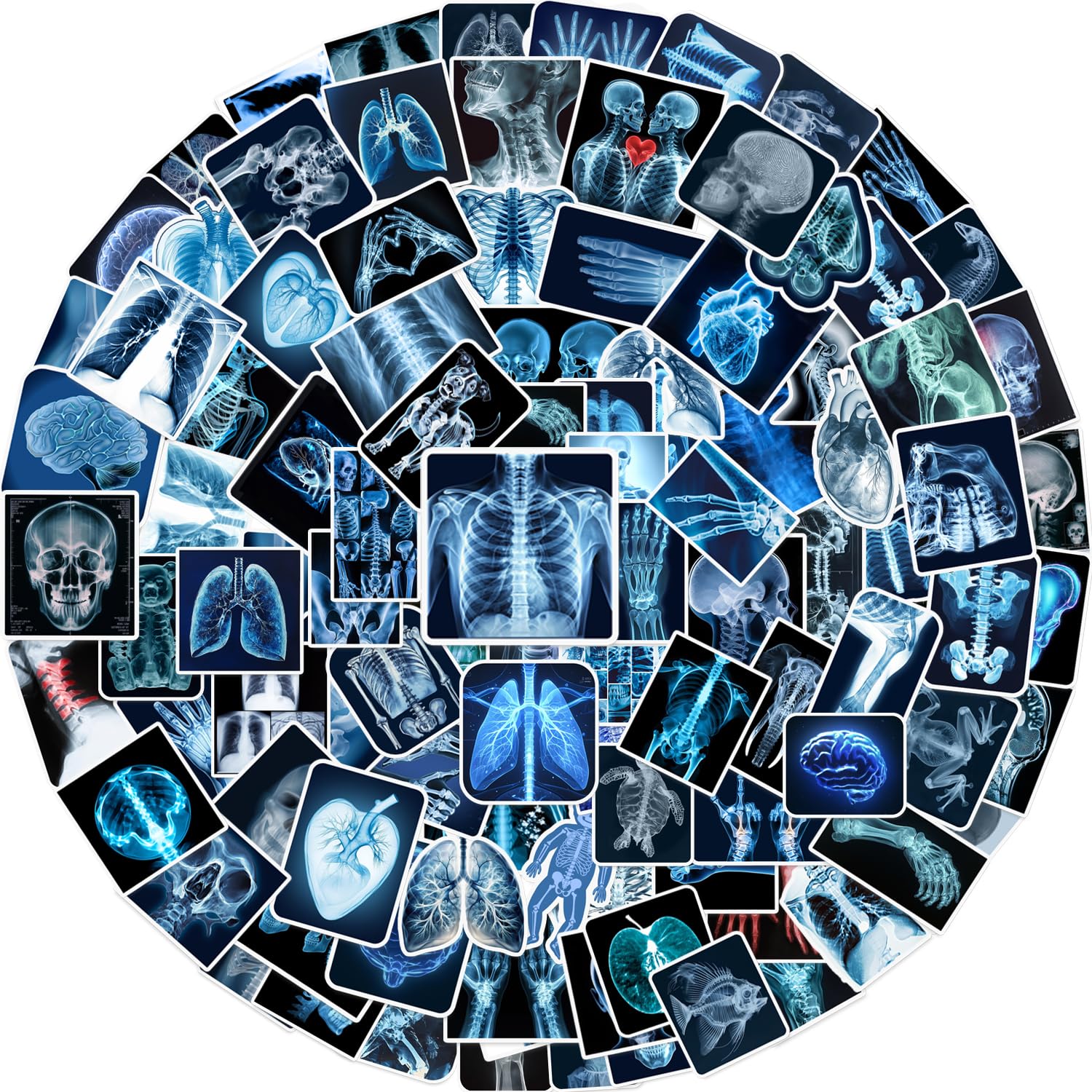 Lcnjscgo Men's Multiple Colors 110Pcs Radiology X Ray Stickers, Radiology Party Favors Birthday Party Decorations Vinyl Waterproof Stickers For Water Bottle Laptop Luggage Xray Tech Gifts For Teens Boys Girls Adult