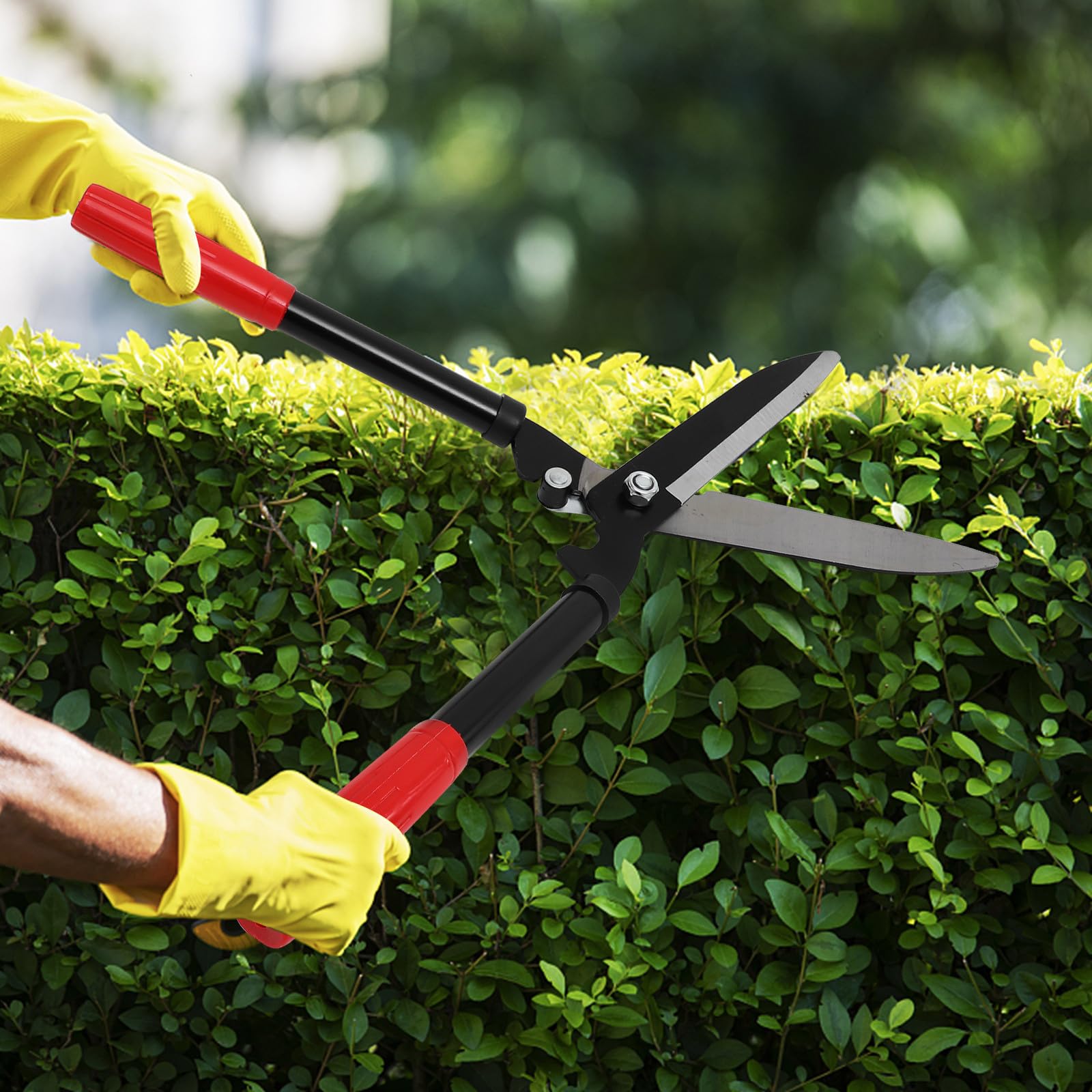 Ciseaux de Jardinage pour Arbres Fruitiers en Acier au Carbone, Légers