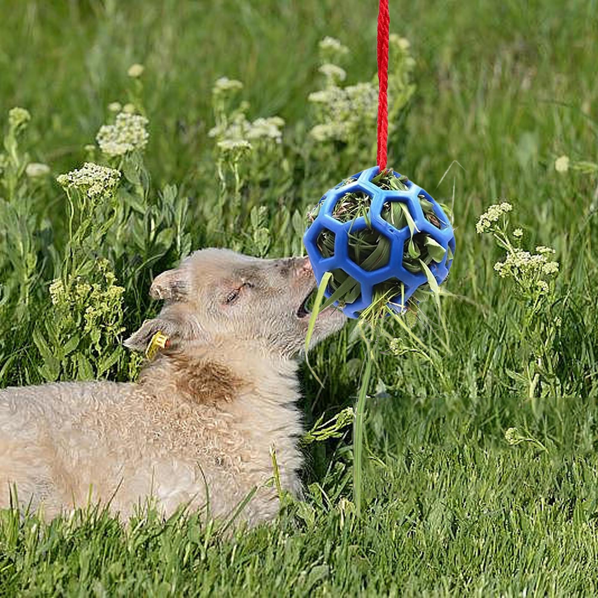 QSLKI 3PCS Jolly Hay Ball Stall Toy for Horses Horse Treat Ball Hay Feeder Holder Hanging Slow Feeding Toy with Rope - Image 4