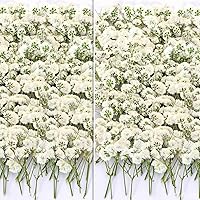 Gifugi 110Pcs Pressed Baby's Breath Flowers - Natural White Dried Gypsophila for Resin Art, Scrapbooking, Epoxy Coasters & Wedding Invites