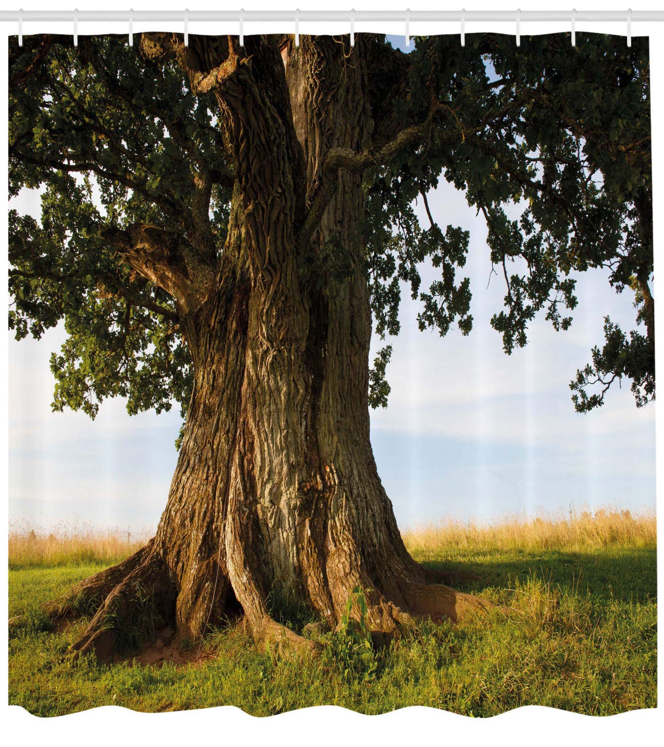 ABAKUHAUS Nature Shower Curtain, Majestic Oak Tree on Grass Estonia Northern Europe Rural in Summer Landscape - Image 2