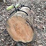 Review Image by EJen EJen