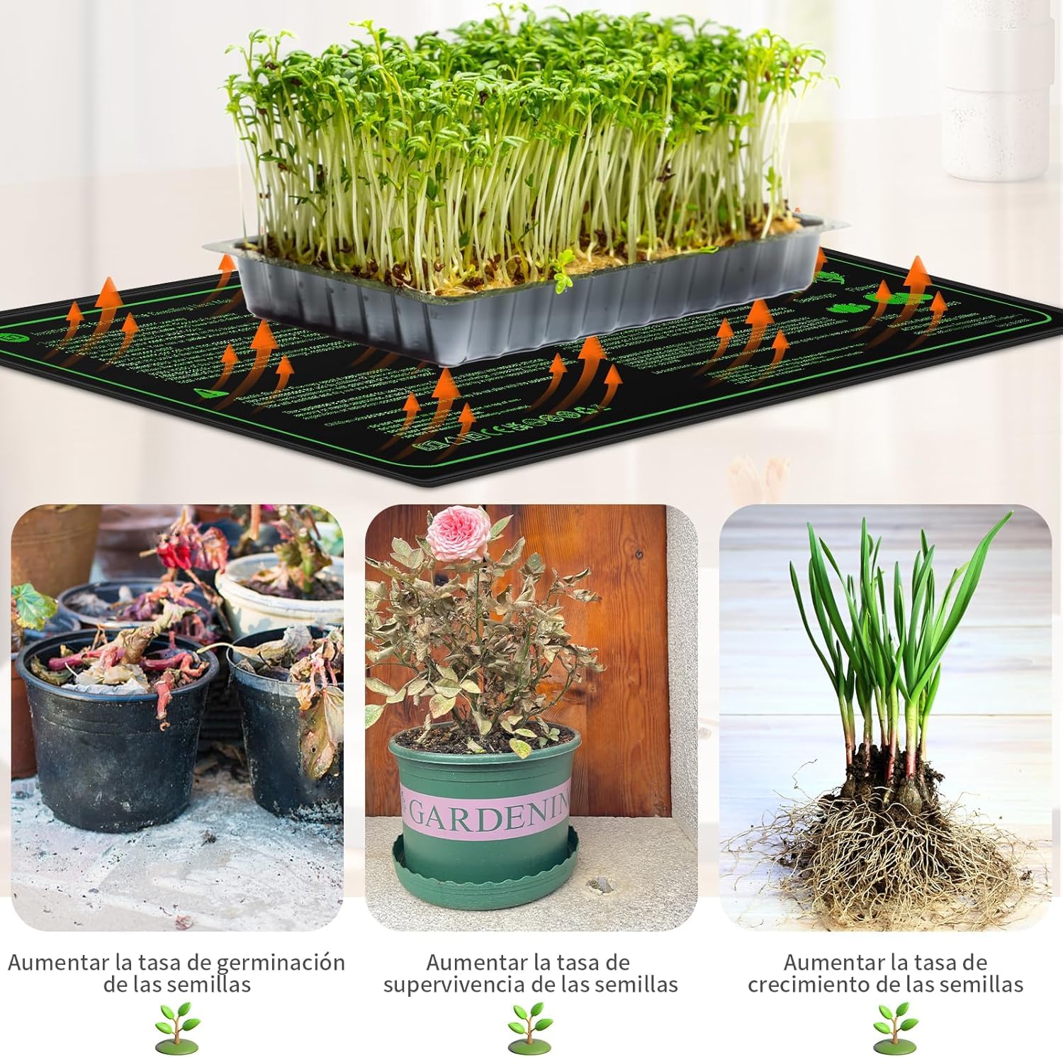 Estera Calentadora con Termostato, Estera Térmica para Terrario, Almohadilla de Calentamiento de Invernadero para Plantas PVC Impermeable con 6 Niveles de Temperatura y 6 Niveles de