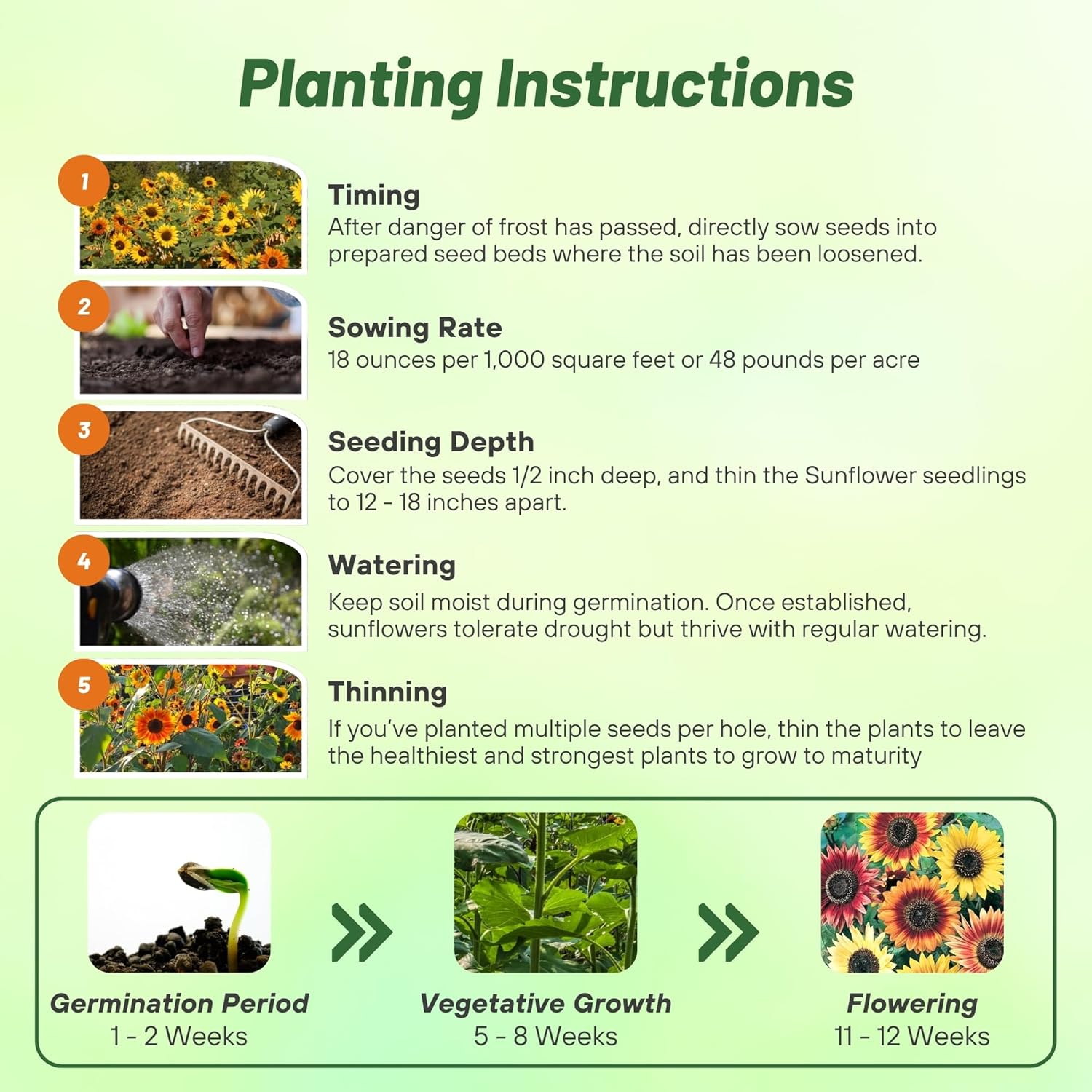 Outsidepride Autumn Beauty Sunflower Seeds for Planting - 5 Lbs. Annual, Easy to Grow Flower Seeds w/Vibrant, Abundant Blooms for Cut Flower Arrangements & Pollinator & Vegetable Gardens