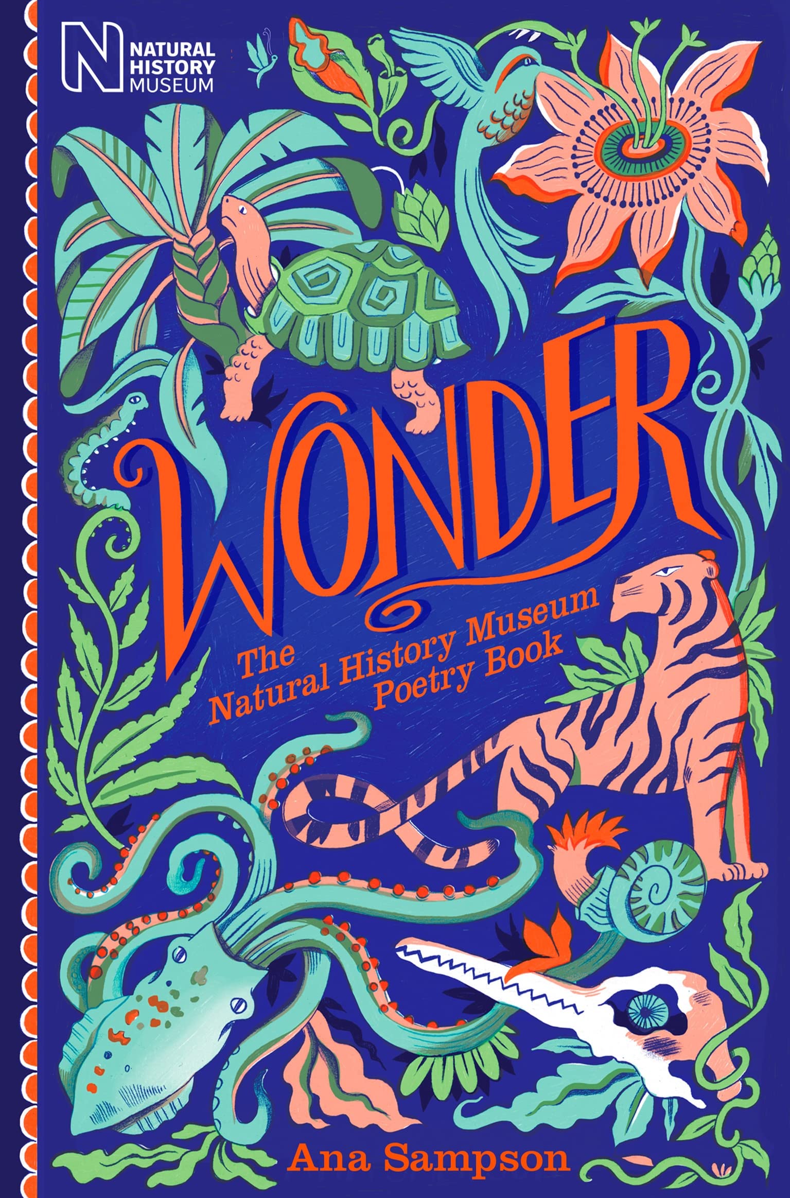 Wonder: The Natural History Museum Poetry Book (The Cloud Horse Chronicles, 30)