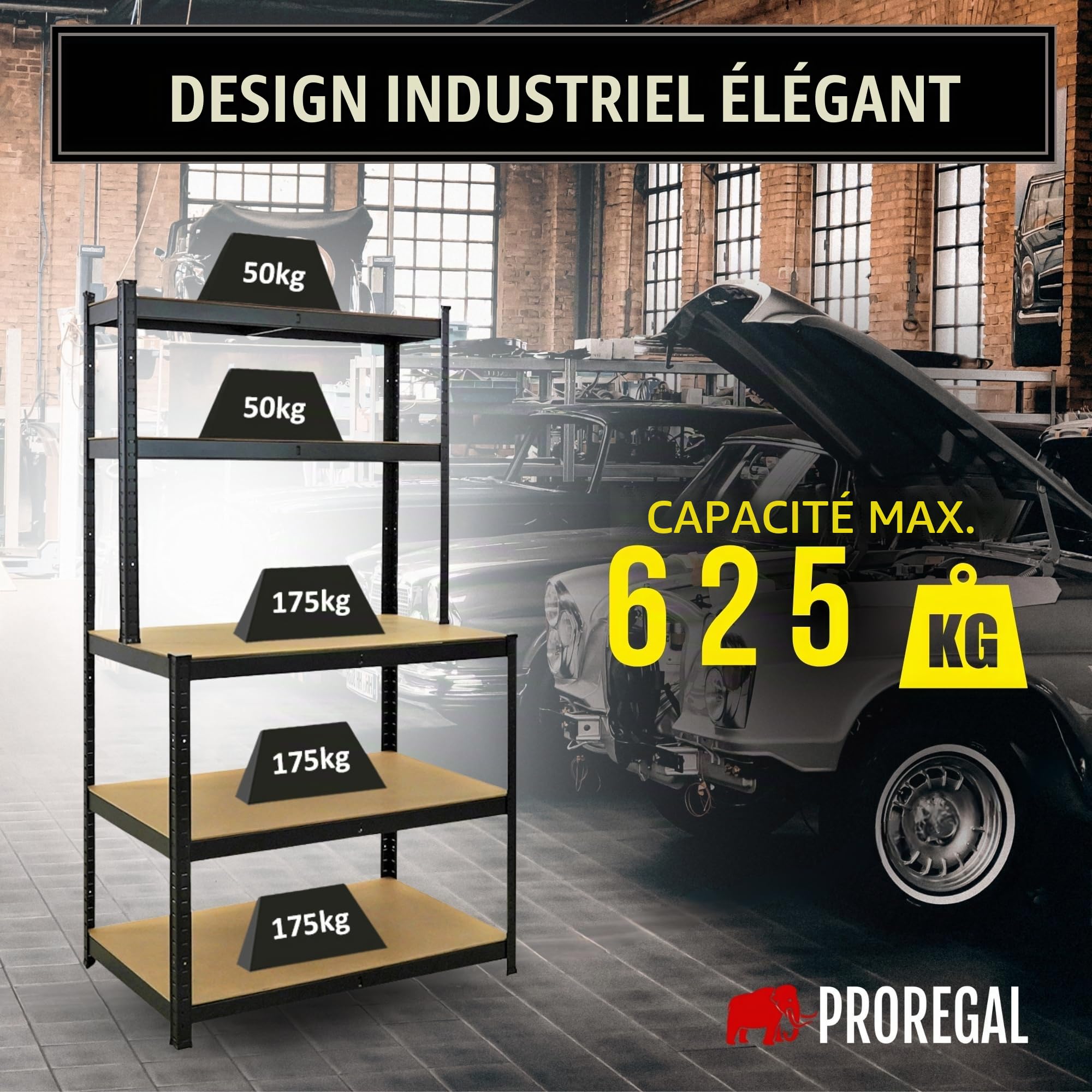 PROREGAL Profi Etabli Giant Beast | HxLxP 180x100x60cm | Capacité de Charge 175kg | Noir