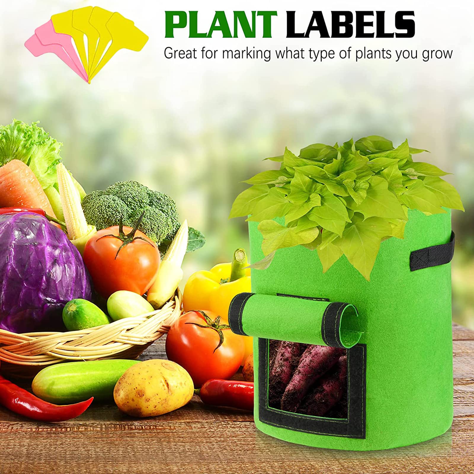 Plantación de patatas en espacios reducidos: Guía completa, image size:1600x1600