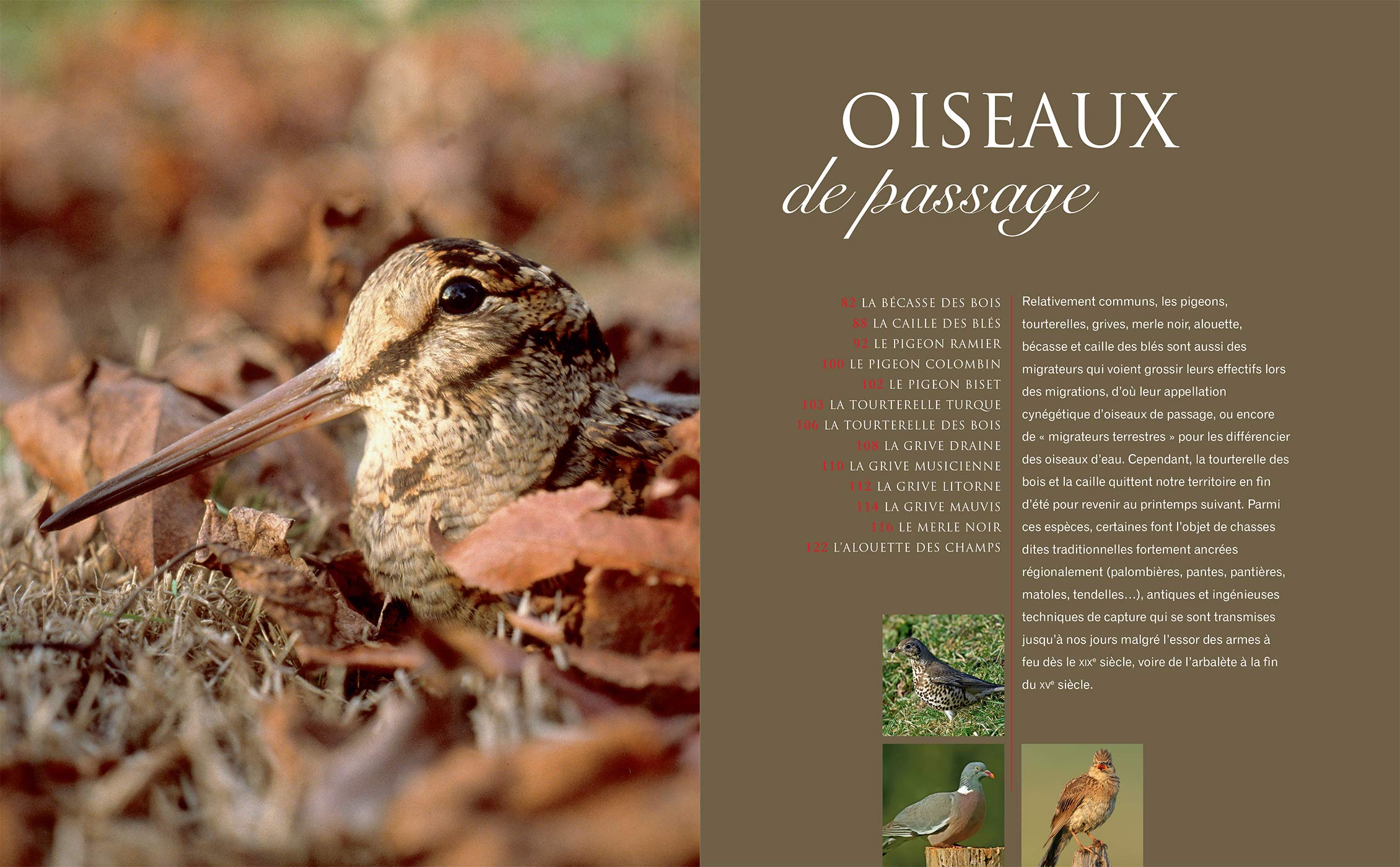 Le grand livre de la chasse: Nouvelle édition