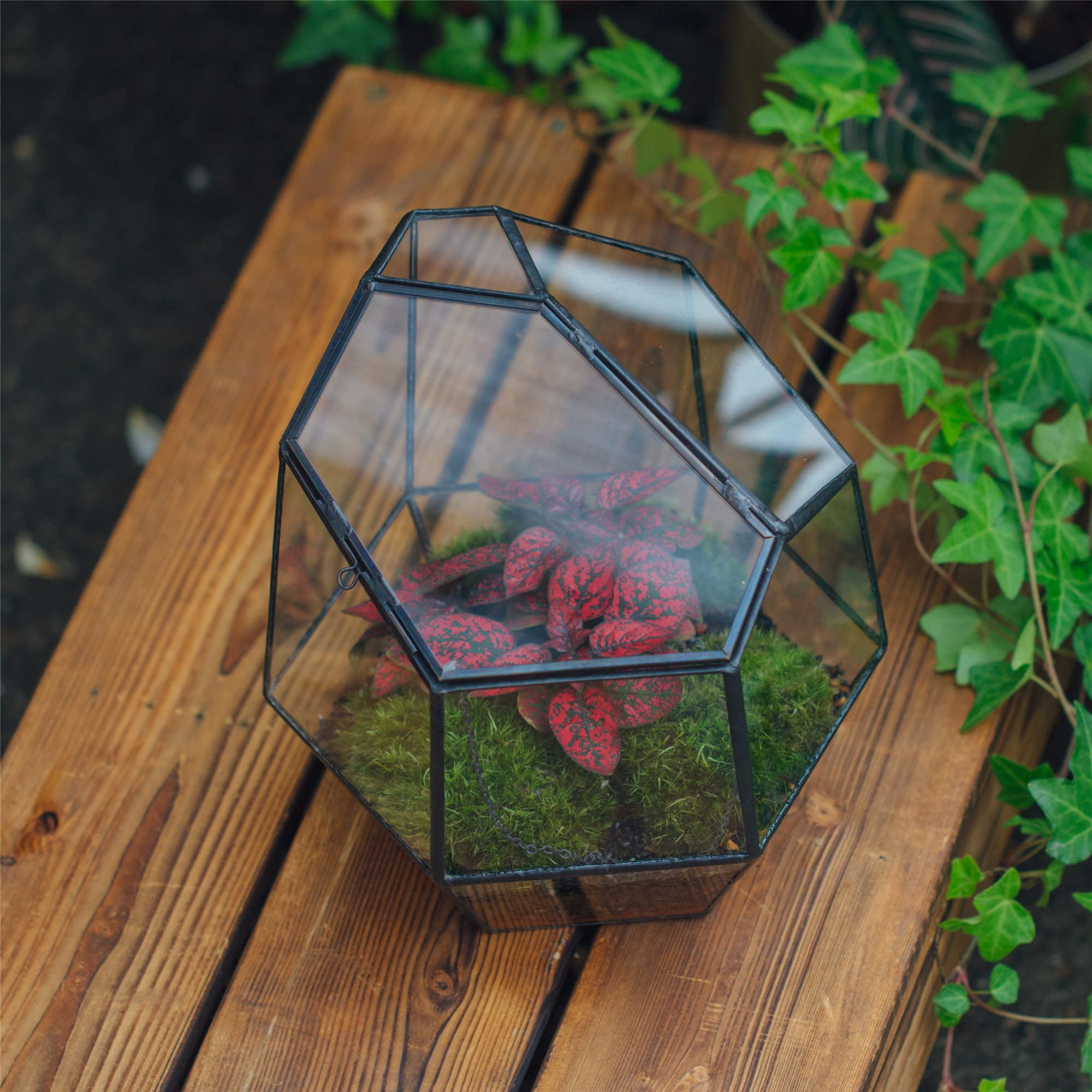 NCYP Handgemaakte transparante dodecaëder glazen bloempot, terrarium, ook geschikt voor vetplanten, kleurloos, zwart (zonder planten