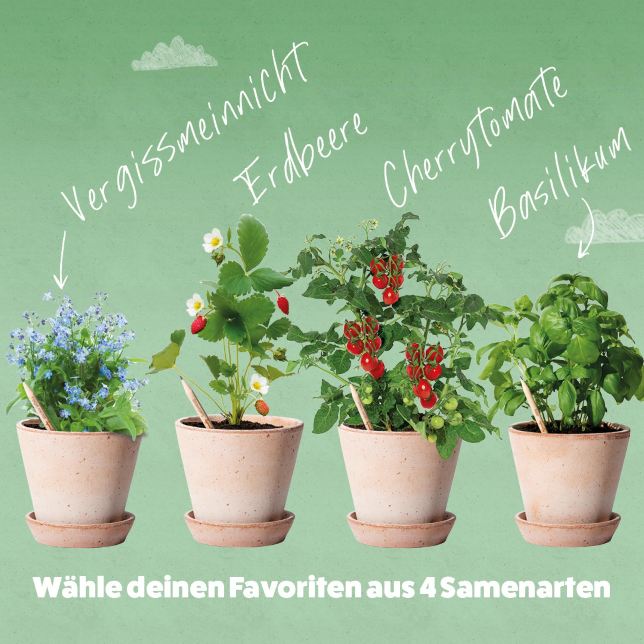 Sprout World Personalisierte Pflanzbare Bleistifte mit Vergissmeinnicht | Farbig bedruckbar mit Logo, Text oder Symbol, für Unternehmen, Events und Hochzeiten, nachhaltiges Geschenk zum Schreiben