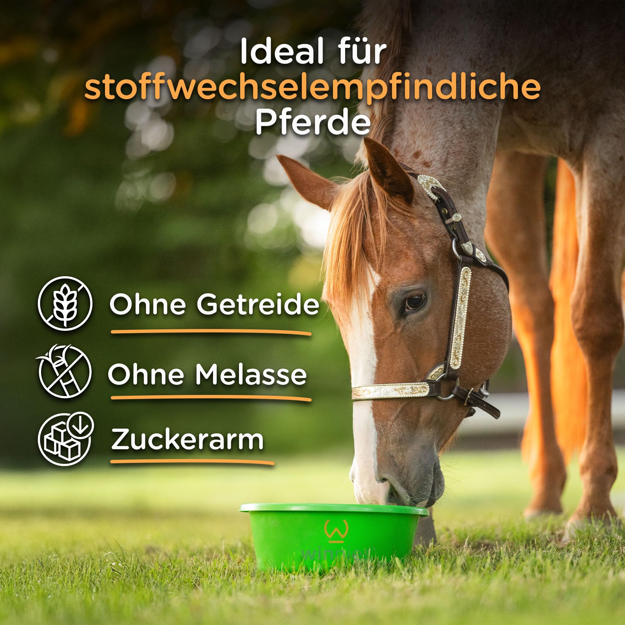 winnies® Kotwasser Stop Pellets-Plus für Pferde – Unterstützt Darmfunktion & Verdauung mit spezieller Kräutermischung, Bierhefe (Biolex® MB40) & Flohsamenschalen – getreidefrei – 1,5 kg