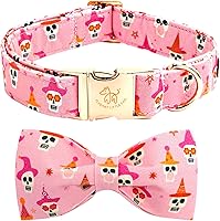 Vista 40 de Elegant little tail - Collar de otoño para mascotas con corbatín, lindo collar de Halloween con estampado de flores y calabaza para cachorros