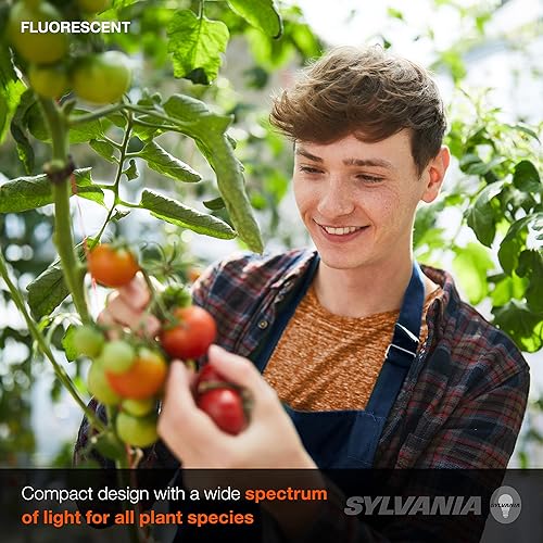 Miniatura 5 de SYLVANIA - Bombilla fluorescente T8 Gro-Lux de 18 pulgadas, 15 W, base G12 bi-Pin, 325 lúmenes, no regulable, 5500 K, 1 paquete (21657), color blanco