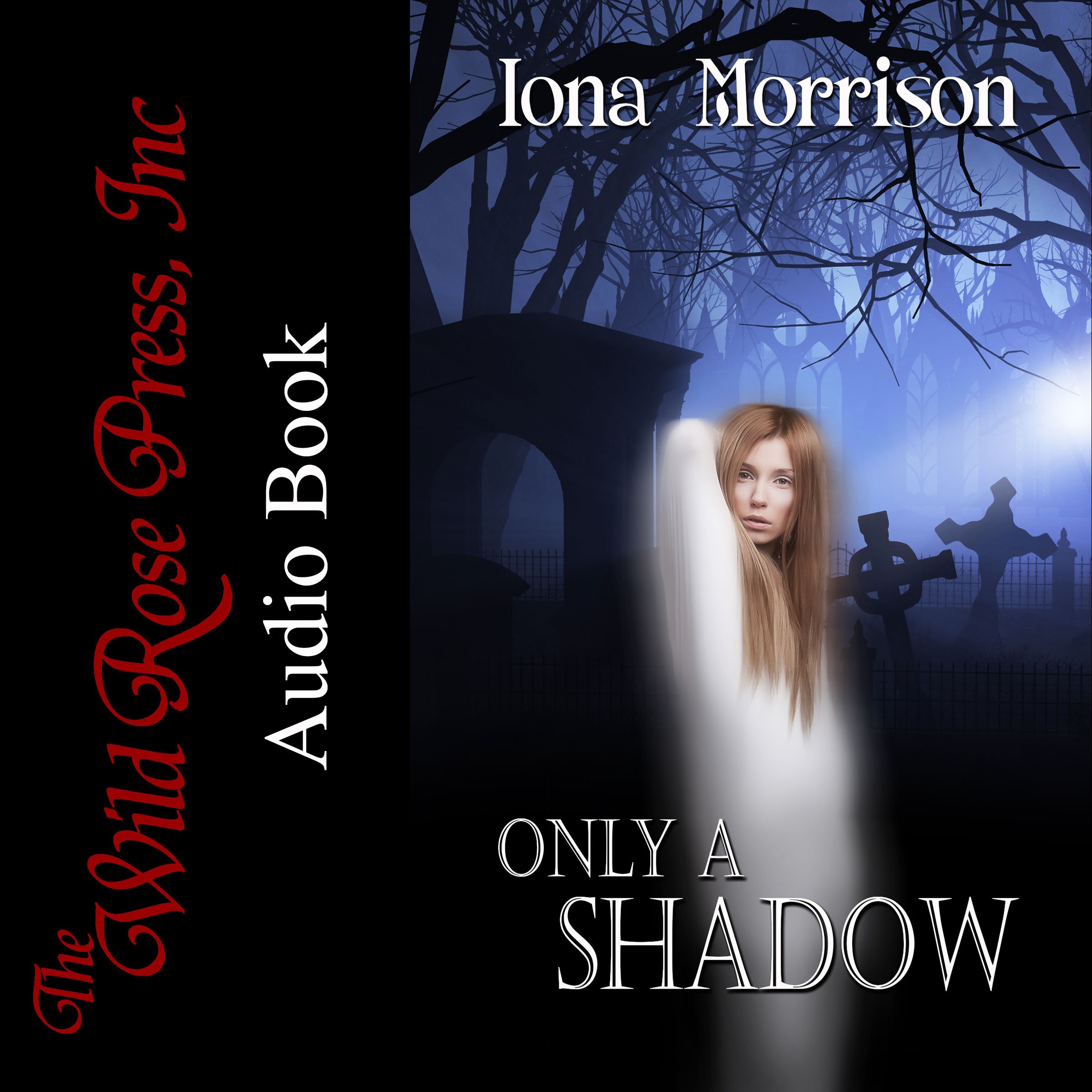 Cover art for Only a Shadow