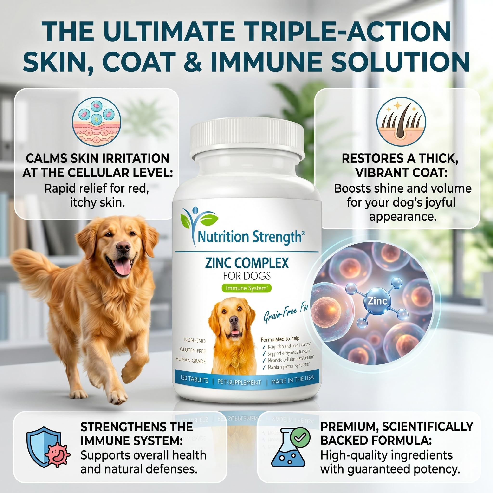 Zinc pour chiens pour soutenir une peau et un pelage sains, favoriser une croissance normale, une fonction immunitaire équilibrée et un métabolisme cellulaire, avec biotine, folate