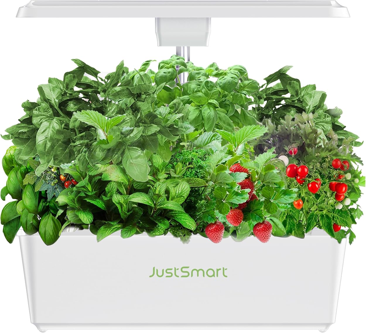 JustSmart 水耕栽培キット IGS-20SE（同時12株栽培）