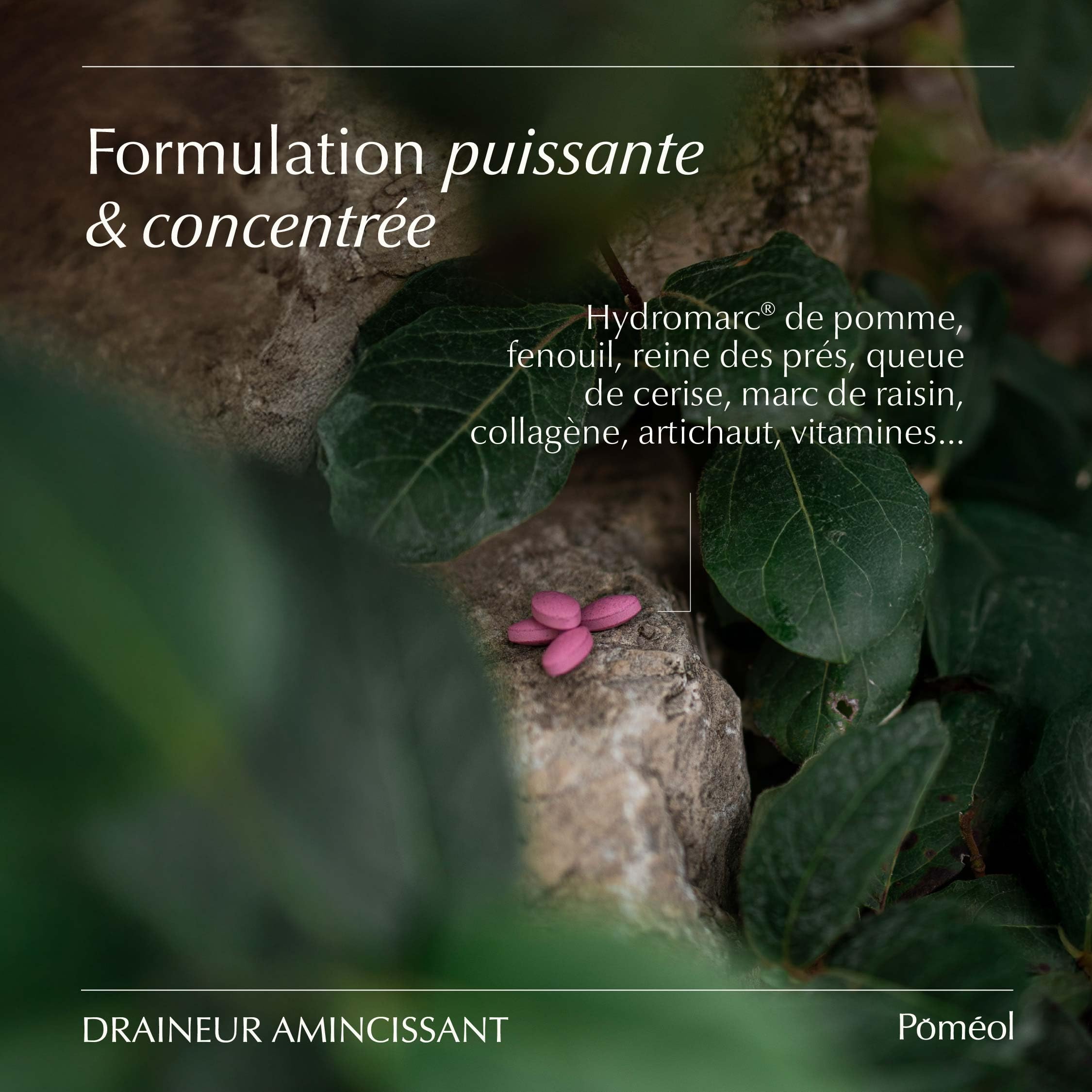 Complément Alimentaire Minceur Drainant ǀ Anti-cellulite & Rétention d'eau ǀ Reine-des-prés, queue de Cerise, Marc de raisin, Artichaut, Vitamines B2, B3, B6, B12 et C ǀ 60 jours ǀ POMÉOL