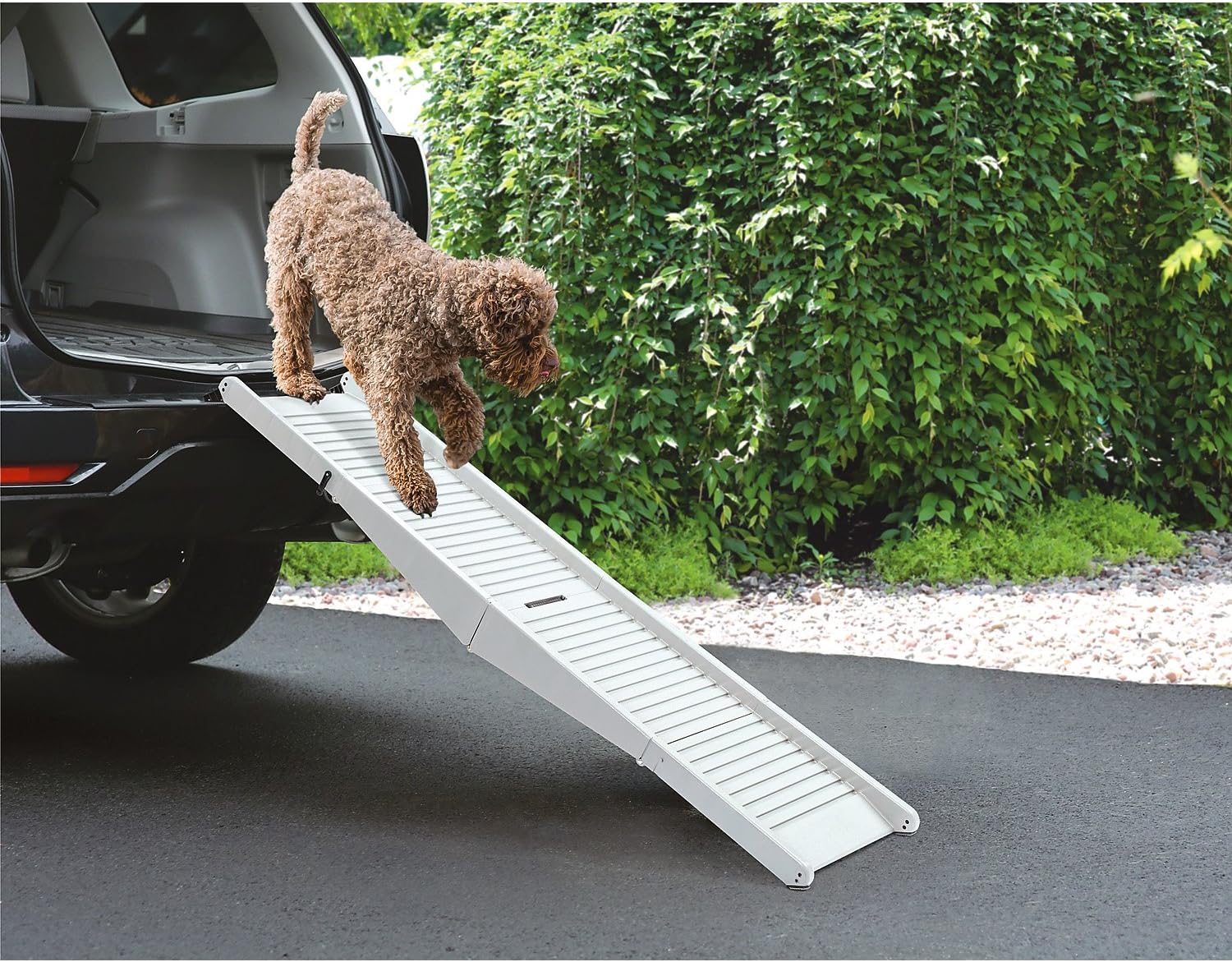 Compact Folding Dog Ramp Amazon.ca Home