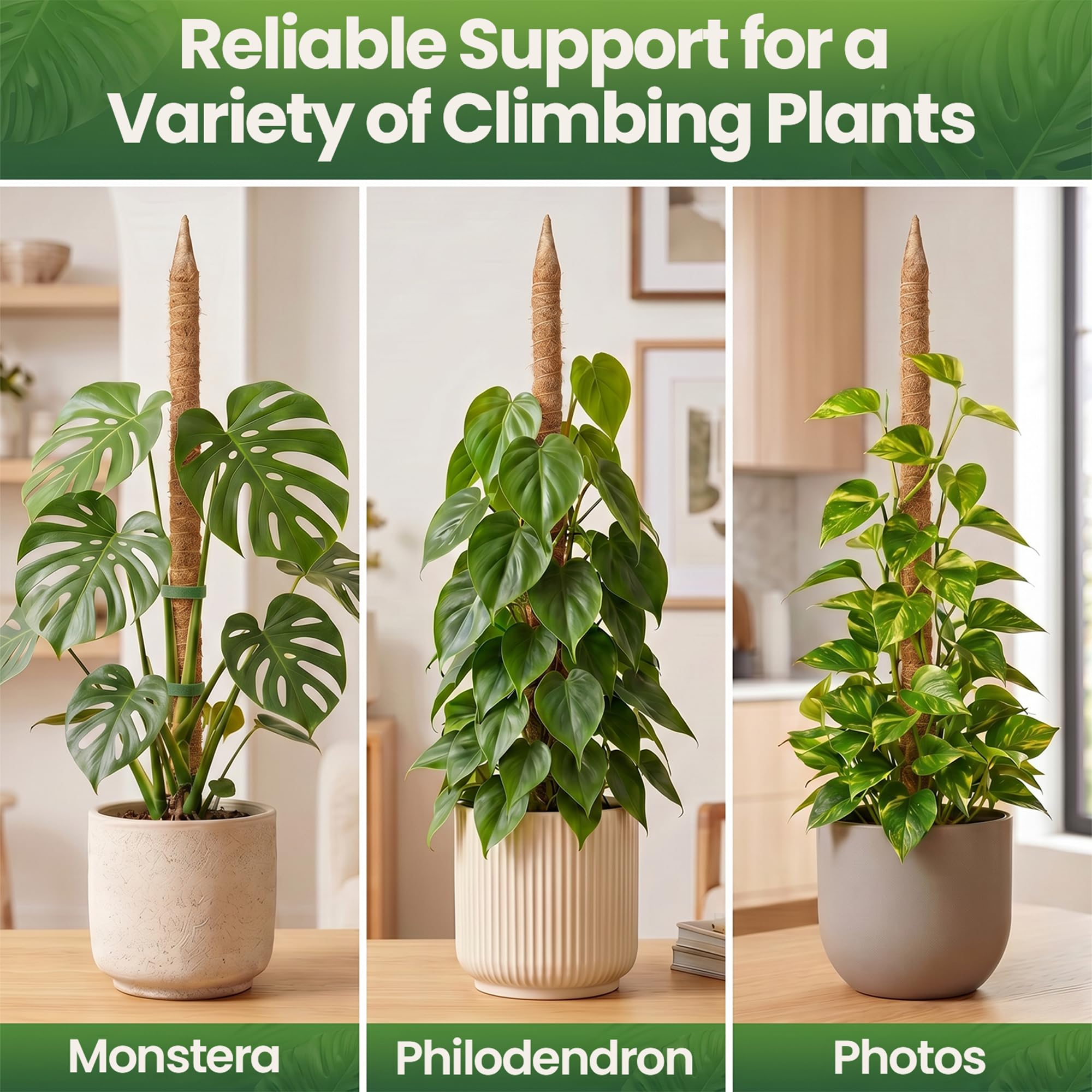 K-Brands Lot de 2 piquets en Mousse – Support de Plante Monstera de 160 cm – Poteaux en Mousse pour Plantes grimpantes Monstera – Support Pliable pour Plantes d'intérieur