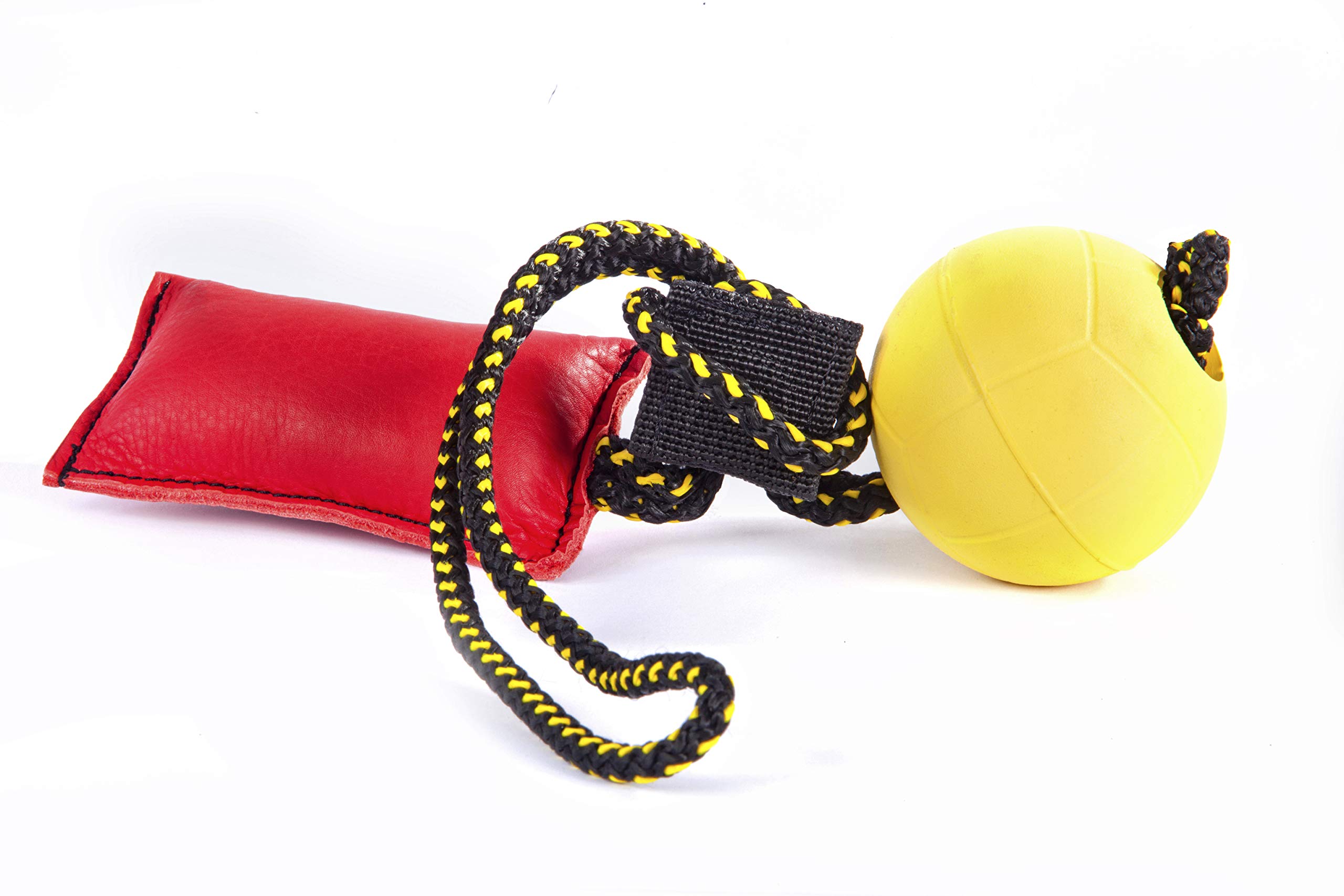 DINGO GEAR WWW.DINGOGEAR.COM 1977 Magnetset für das Hundetraining: eingefasster Magnet und Magnetgriff Gummiball